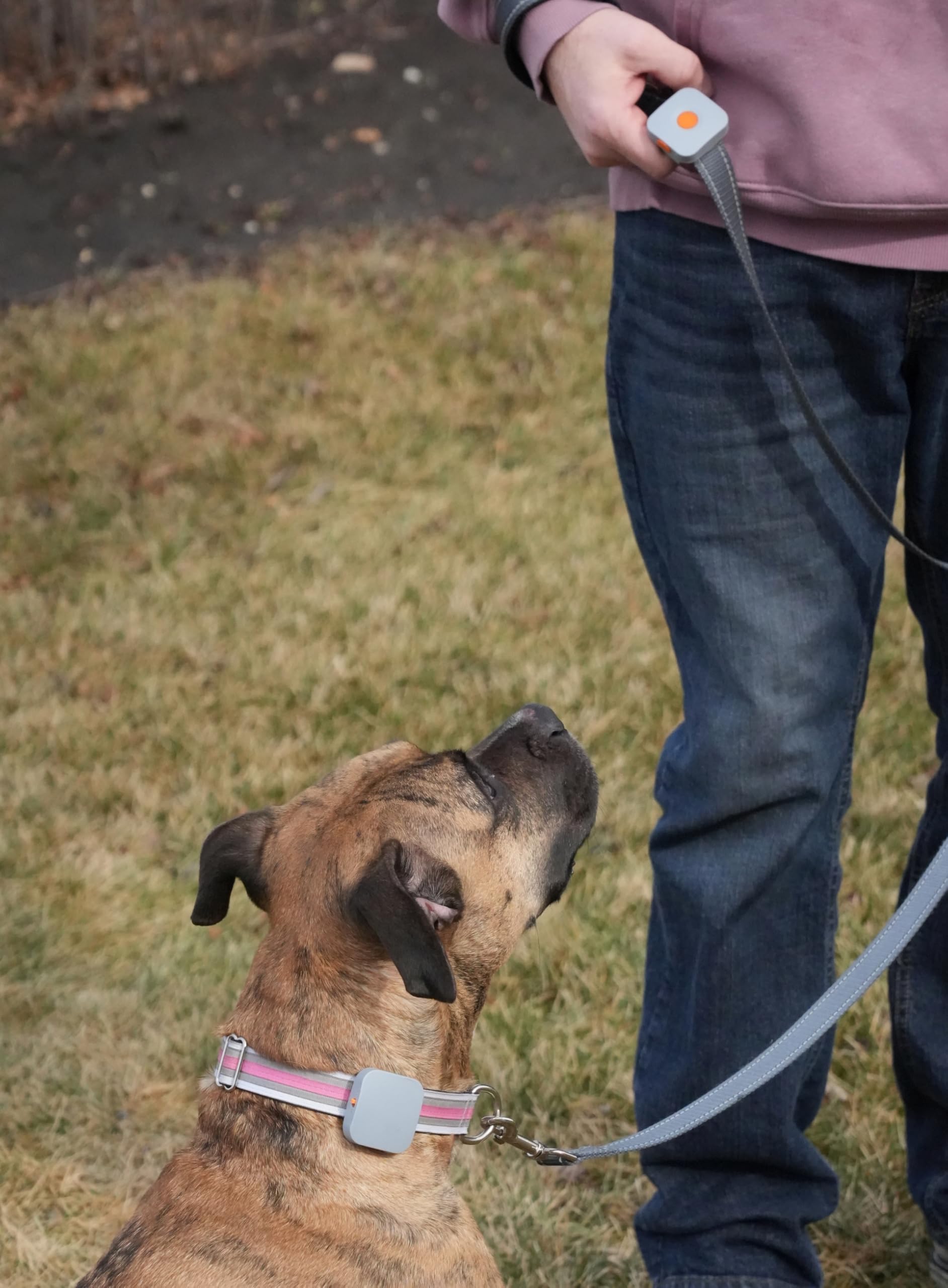 Hundetrainingsgert Das Original-Kona Clip wurde in den USA entworfen Vibrationskorrektur mit Fernbedienung fr kleine, mittelgroe und groe Hunde, Leinentraining, wasserdicht, wiederaufladbar : Amazon.de: Haustier Hundetrainingsgert Das Original-Kona Clip wurde in den USA entworfen Vibrationskorrektur mit Fernbedienung fr kleine, mittelgroe und groe Hunde, Leinentraining, wasserdicht, wiederaufladbar : Amazon.de: Haustier
