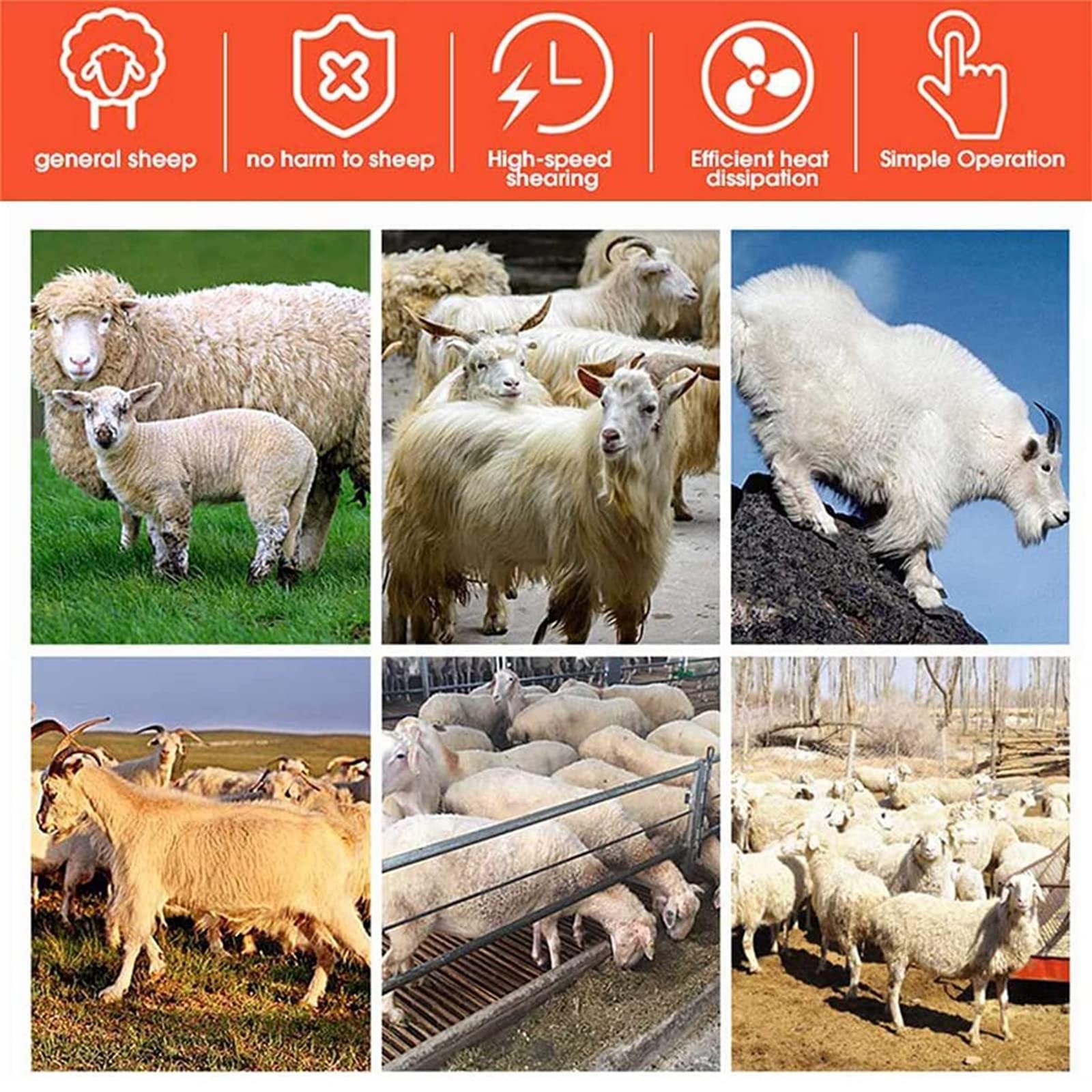 Cesoie Elettriche per Pecore, 690W 6 Marce Elettriche per Tosare per Pecore E Capre per Pecore, Capre, Lama, Cavalli, Alpaca
