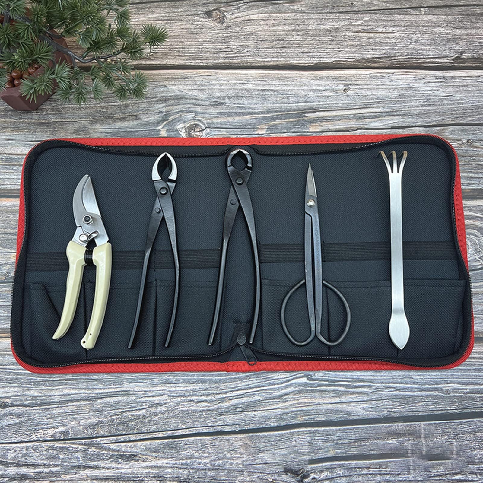 5 Pièces Ensemble D'Outils de Bonsaï, Ensemble D'Outils de Jardinage Succulents en Acier Au Carbone avec Poignée Ergonomique, Ciseaux À Bonsaï Professionnels Râteau Coupe Branches Sécateurs