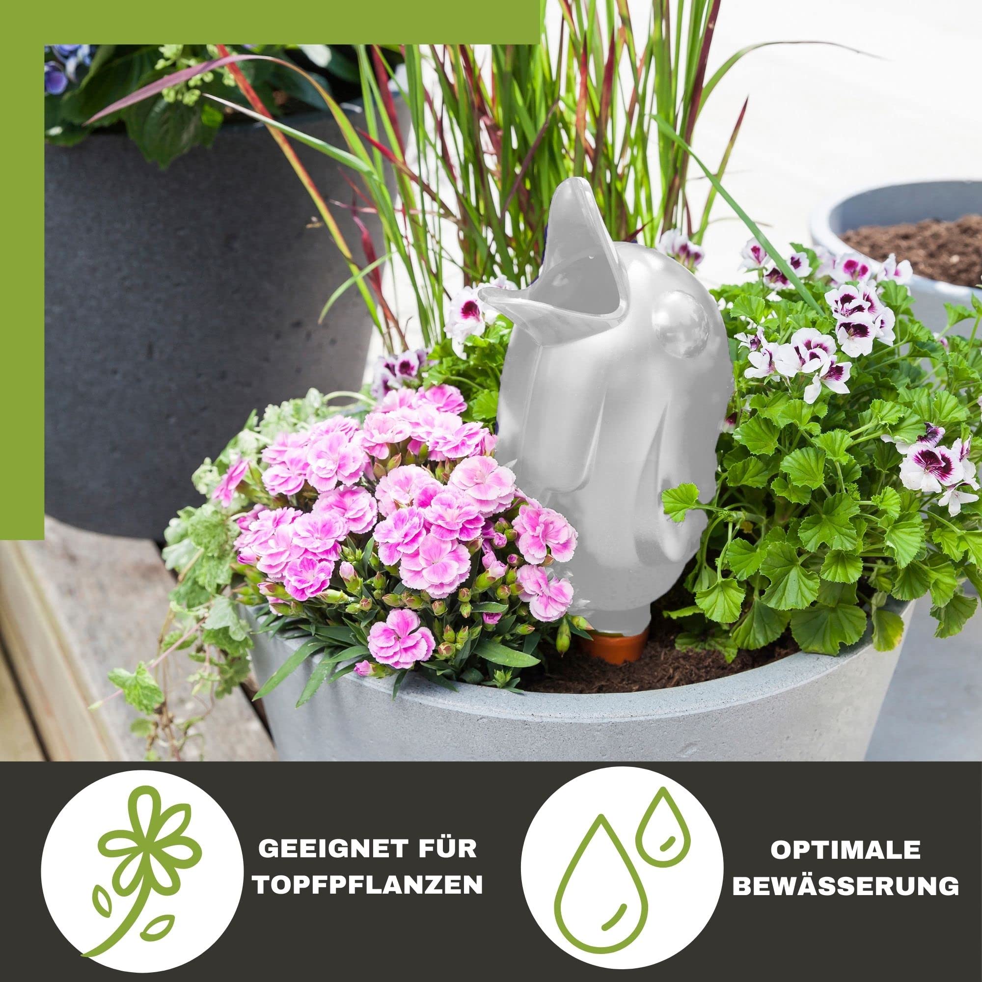 Scheurich Wasserspender Bördy XXL |2er Set Transparent/Grün | 1000 ml Füllmenge | Bewässerungskugel klein mit Ton Fuß | Wasserspender Pflanzen und Blumen Terrakotta Stiel