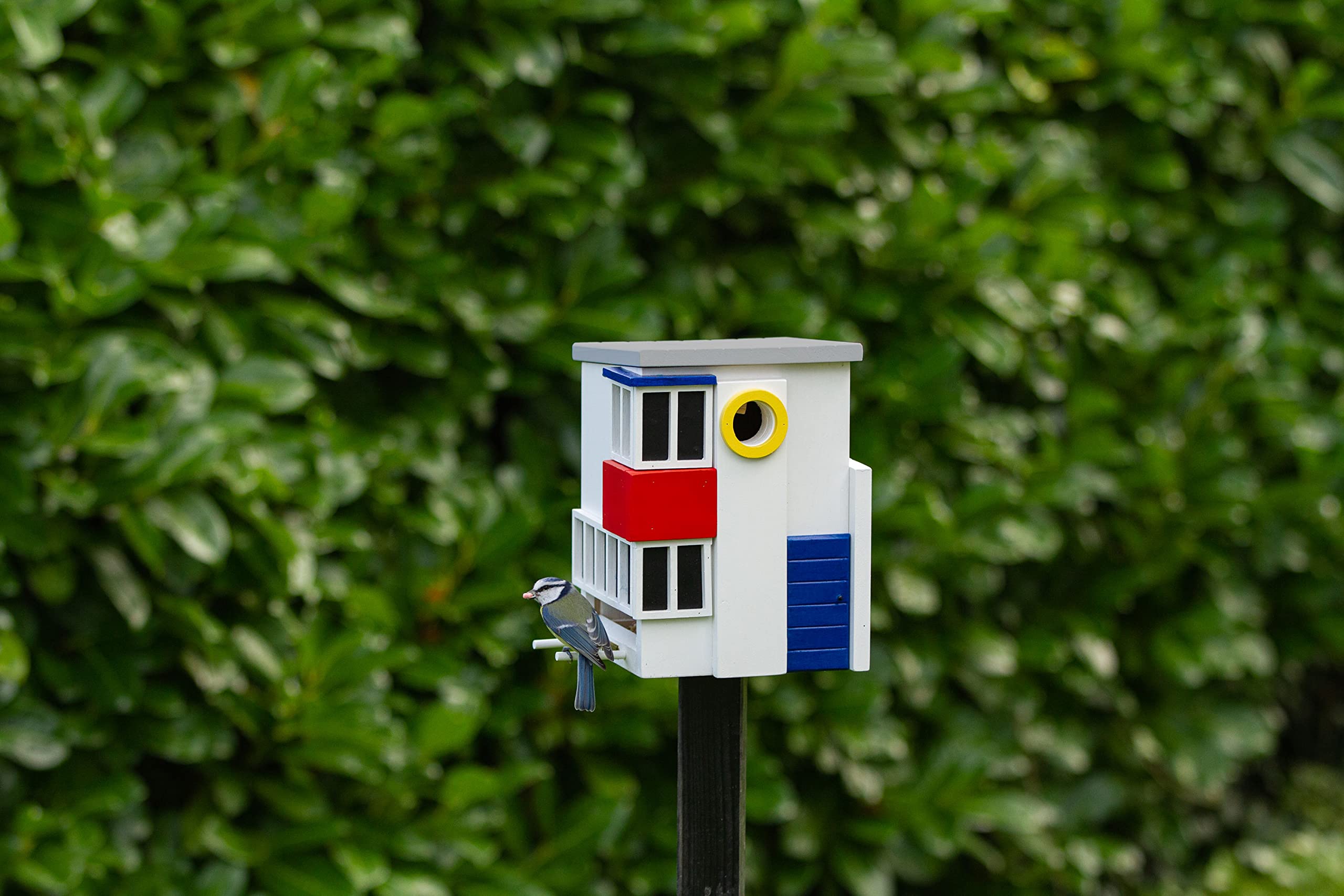 Wildlife Garden WG1124 Multiholk De Stijl - Der Kombinierte Vogelfutterhaus und Nistkasten/Vogelhaus aus Holz