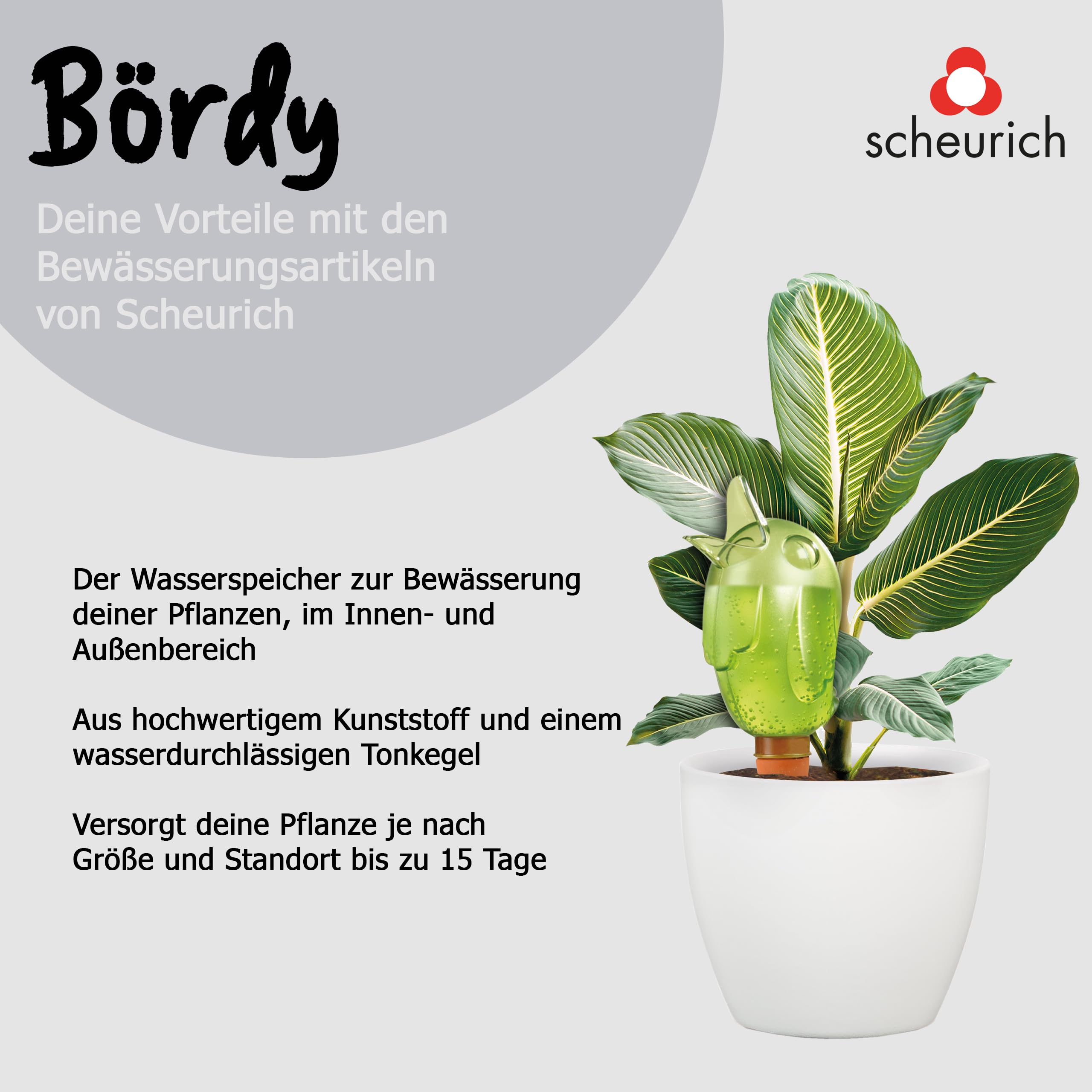 Scheurich Bördy XXL, Wasserspeicher aus Kunststoff, Farbe: Bördy XXL, Green, 13,7 cm Breite, 11 cm Tiefe, 33 cm hoch, 1 l Vol.