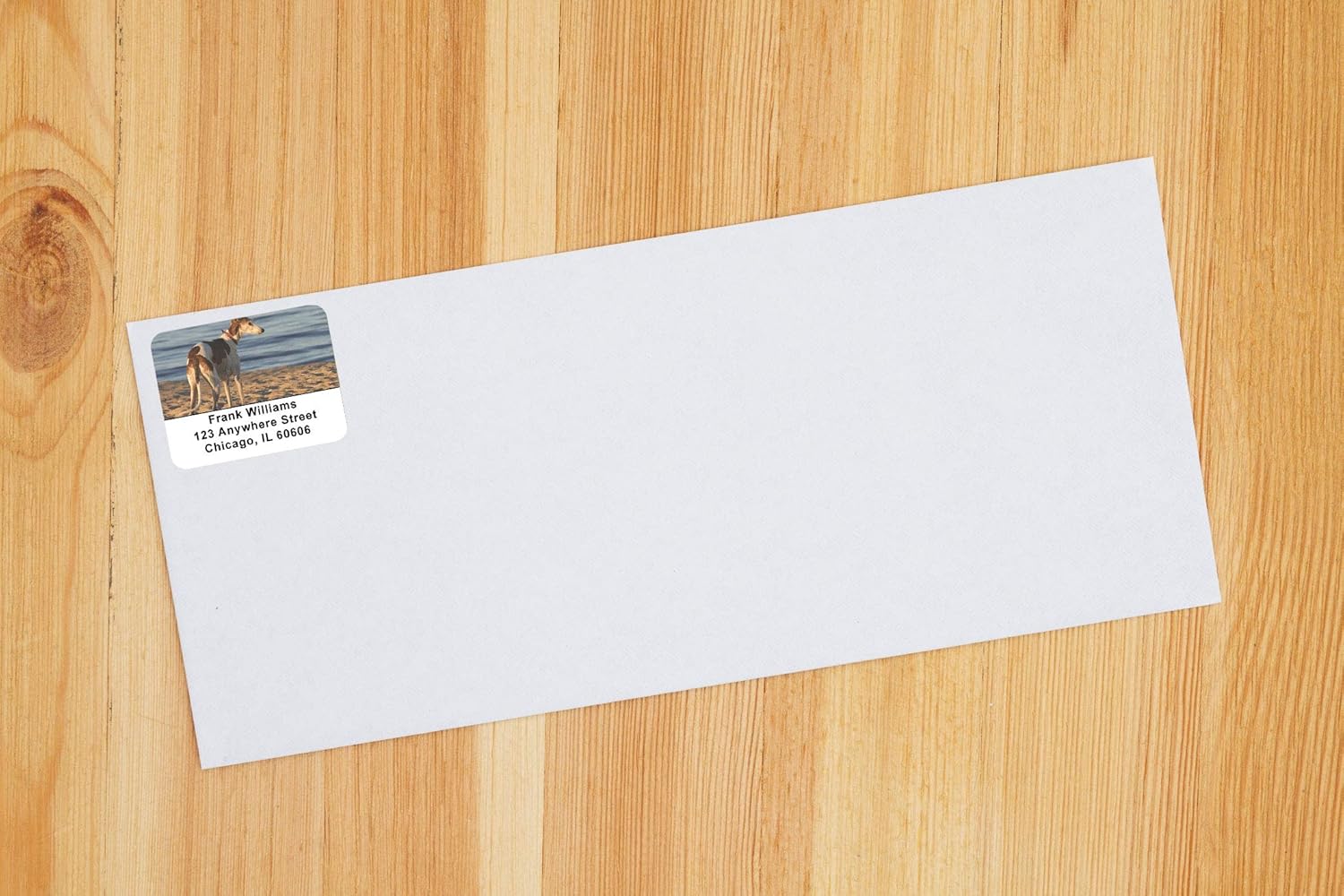 Greyhounds Address Labels