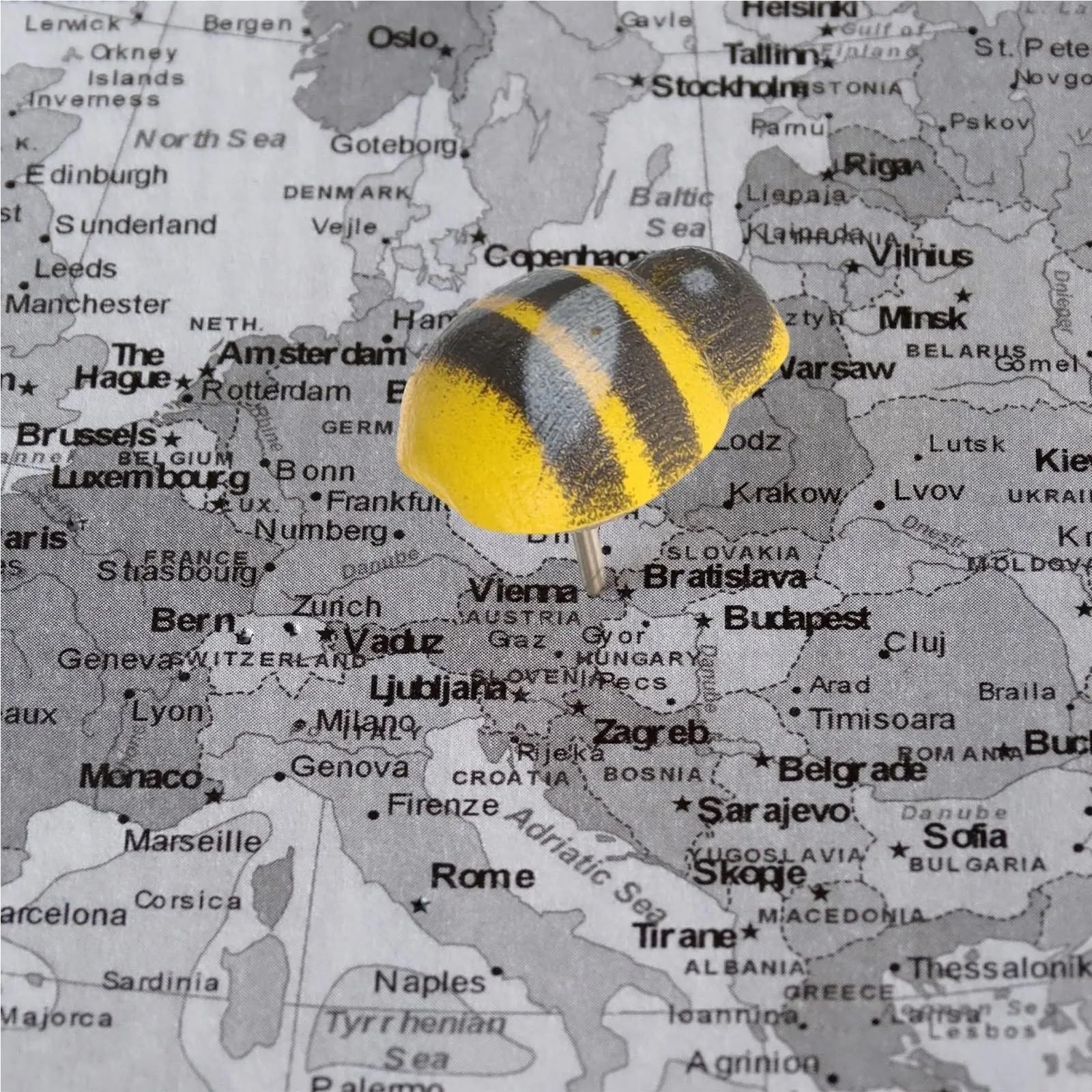 100 chinchetas de madera con diseño de mariquita de abeja para oficina, hogar, dibujos animados, accesorios de escritorio con forma de animal, para tablón de anuncios, tablero de corcho y mapa