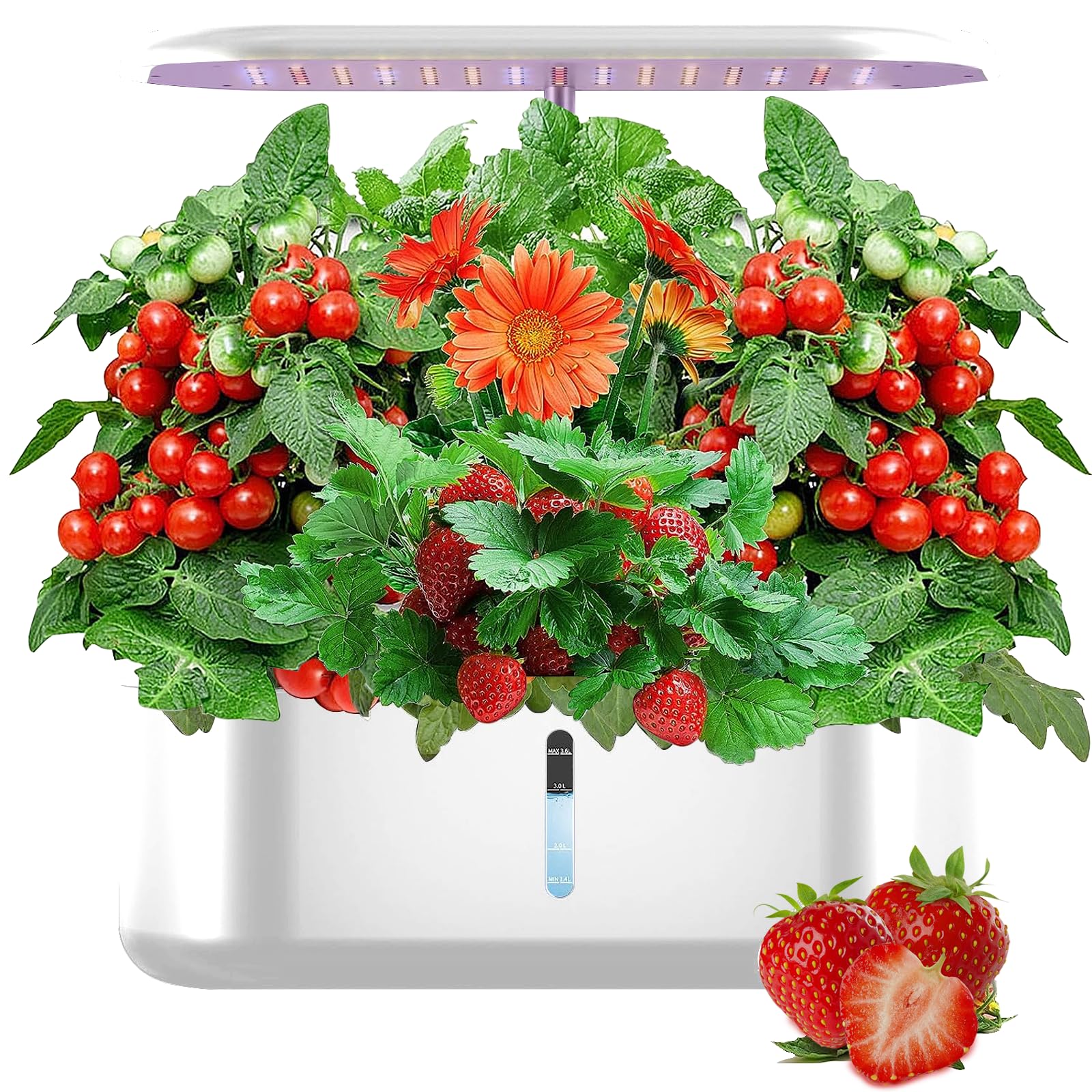 Watch-it-Grow 10 pods Hydroponics Growing System with Herb Germination Kits FCC CE ROHS Certified, 24W Full Spectrum Grow Lights Indoor Garden, Installation Free Educational Science Kit for pepole