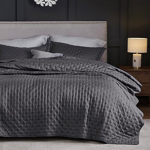 Bedsure Queen Quilt Bedding Set - Soft Ultrasonic Full/Queen Quilt Set - Clover Bedspread Queen Size - Lightweight Bedding Coverlet for All Seasons (Includes 1 Grey Quilt, 2 Pillow Shams)