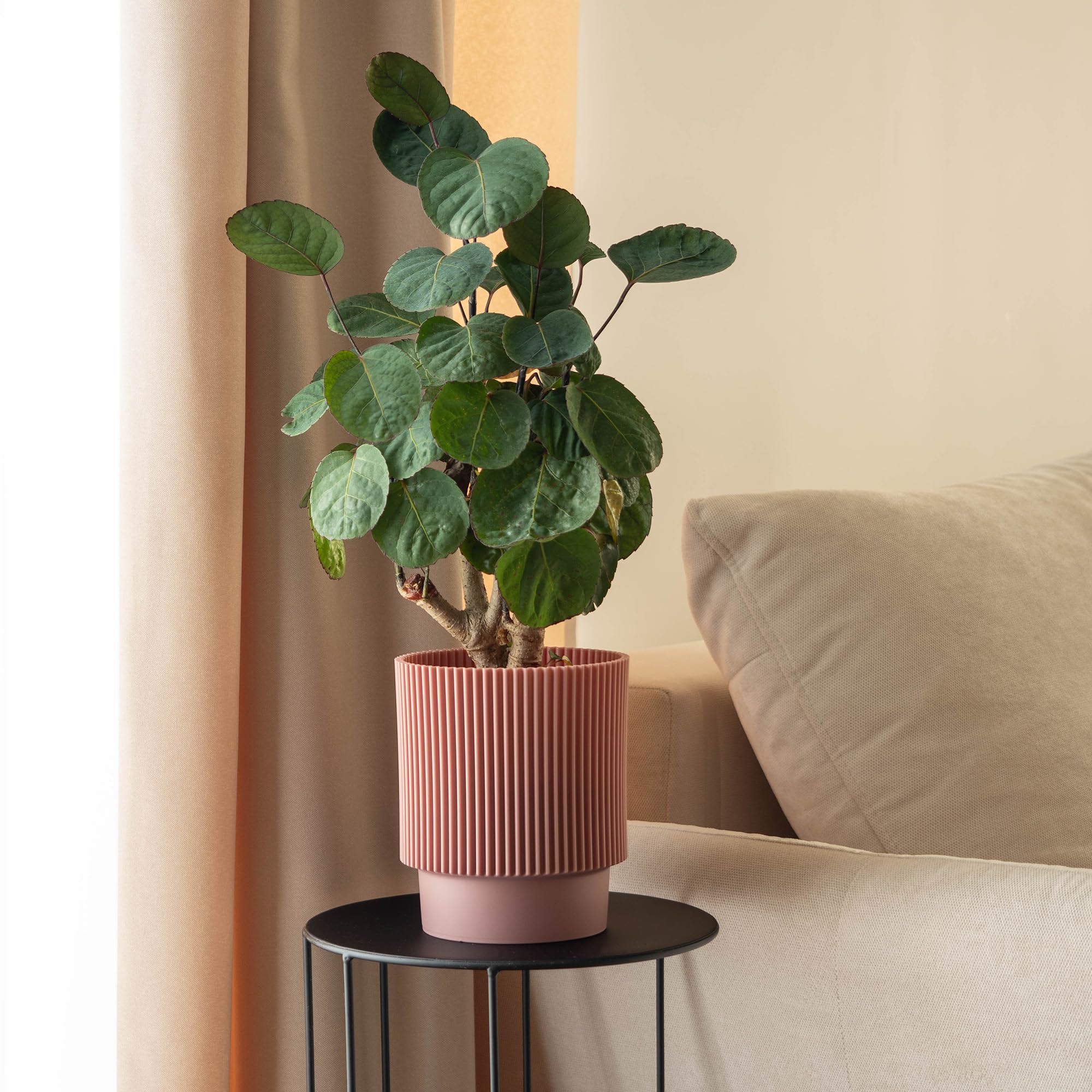 KADAX Flowerpot, fioriera con sottobicchieri, secchio di fiori rotondi in plastica, pentola Matt per cactus, felci, trama luccicante per balcone, appartamento e terrazza (⌀ 30 cm, prugna KADAX Flowerpot, fioriera con sottobicchieri, secchio di fiori rotondi in plastica, pentola Matt per cactus, felci, trama luccicante per balcone, appartamento e terrazza (⌀ 30 cm, prugna