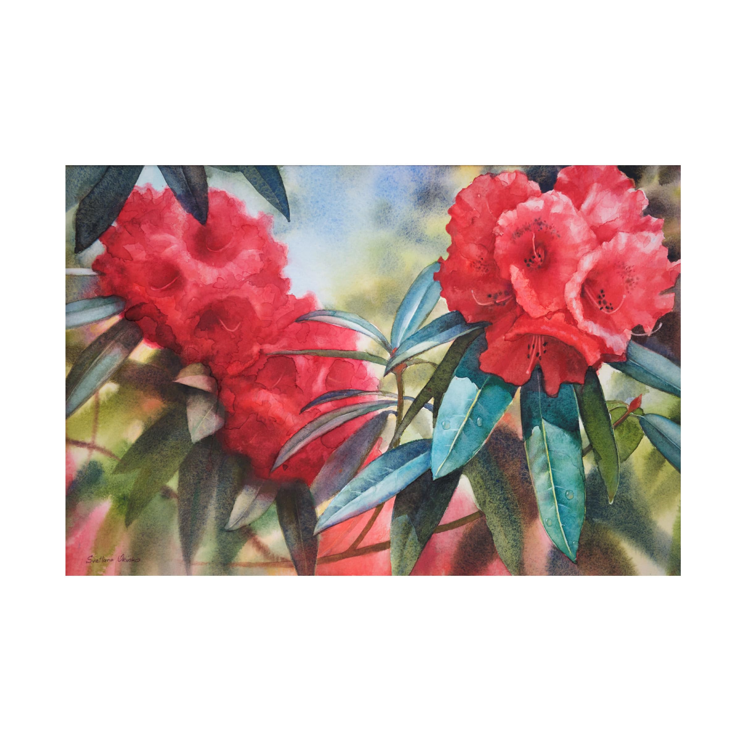 Svetlana Orinko 'Red Rhodo' Canvas Art