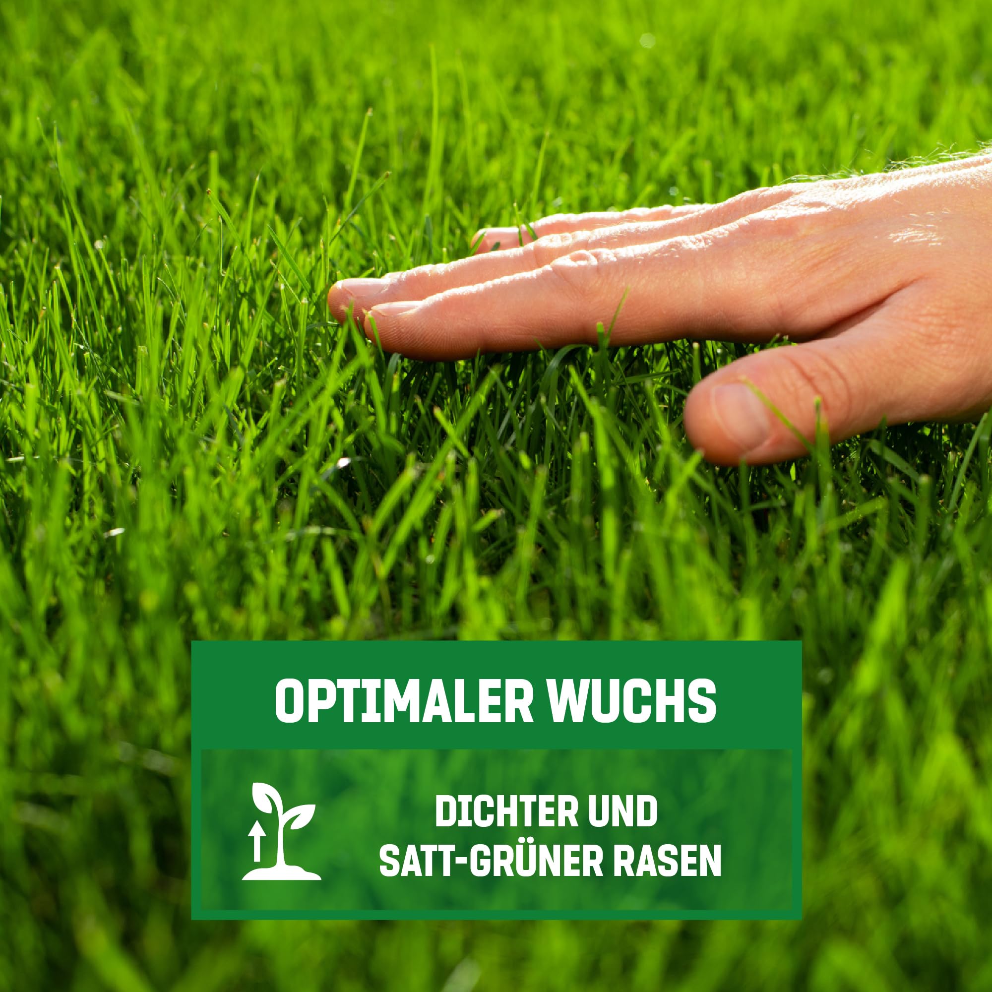 GardenGloss Semi Prato Germinazione Rapida - 5 kg per 250m2 - Germania | Per Trasemina e Nuovi Prati - Germinazione Rapida - Prato Folto e Denso