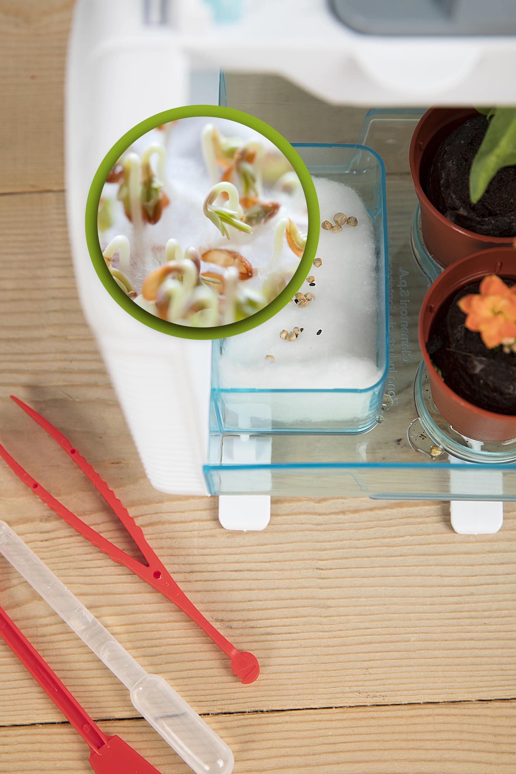 Clementoni Smart-Tech - Invernadero - Kit Interactivo de Ciencia de Plantas Stem con sensores, Pantalla LCD y Modos de Crecimiento para niños de 8 años en adelante