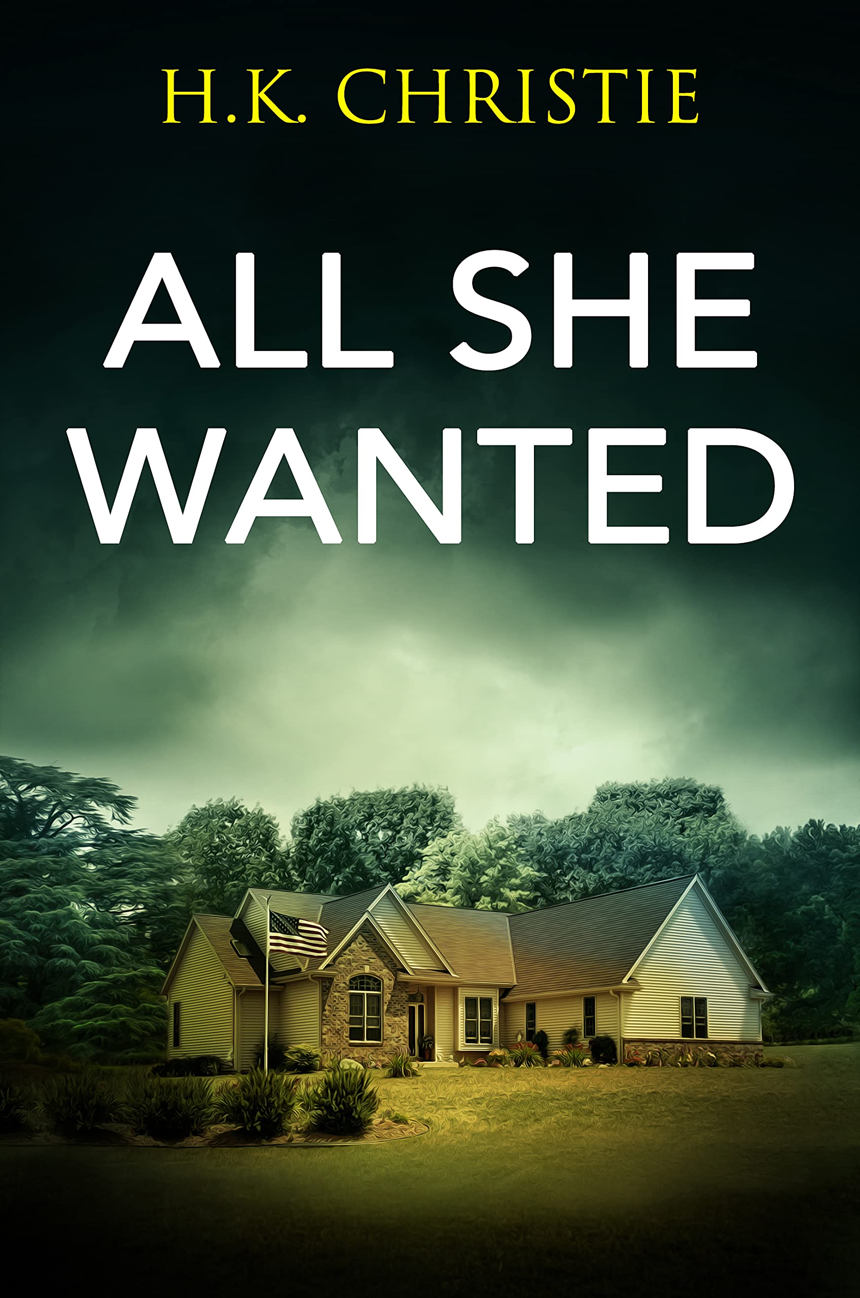 All She Wanted (Martina Monroe Crime Thriller Book 3)