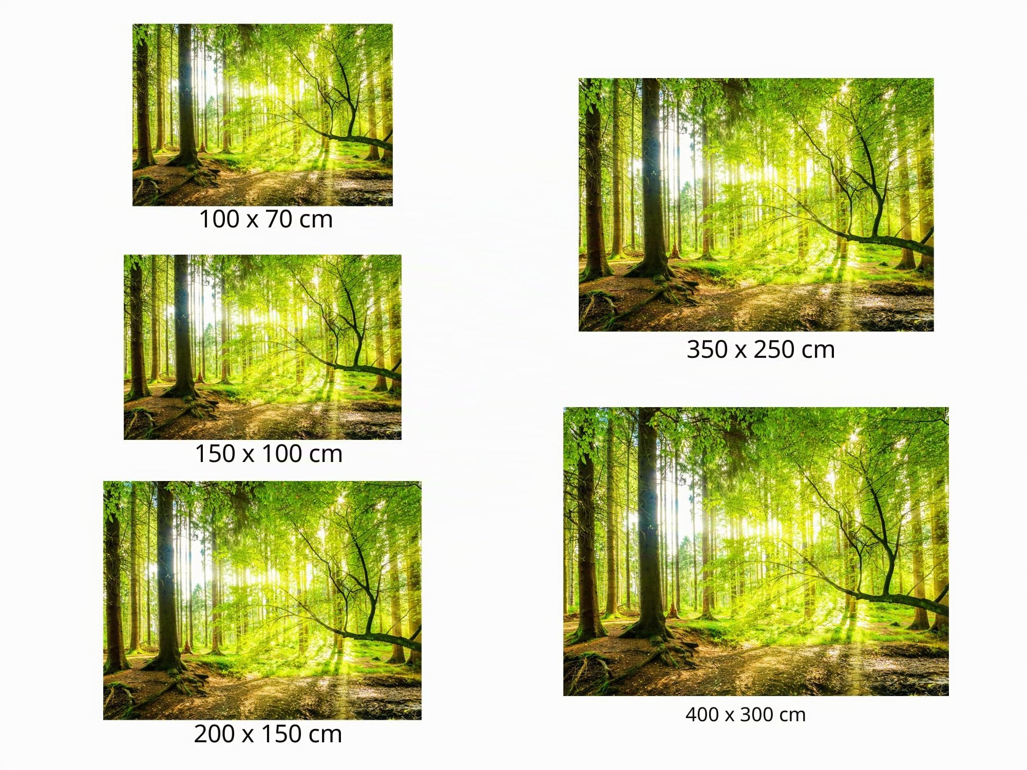 Oedim Fotomural Vinilo Adhesivo Bosque Primavera, Vinilo Adhesivo Decorativo para Habitaciones, decoración para Paredes.