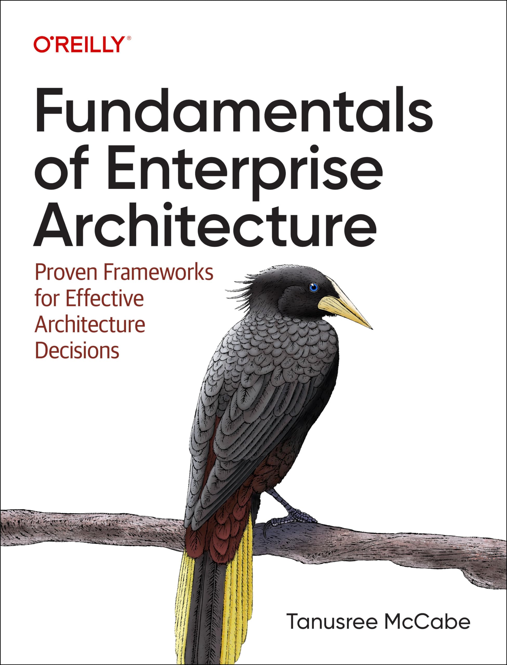 Fundamentals of Enterprise Architecture: Proven Frameworks for Effective Architecture Decisions