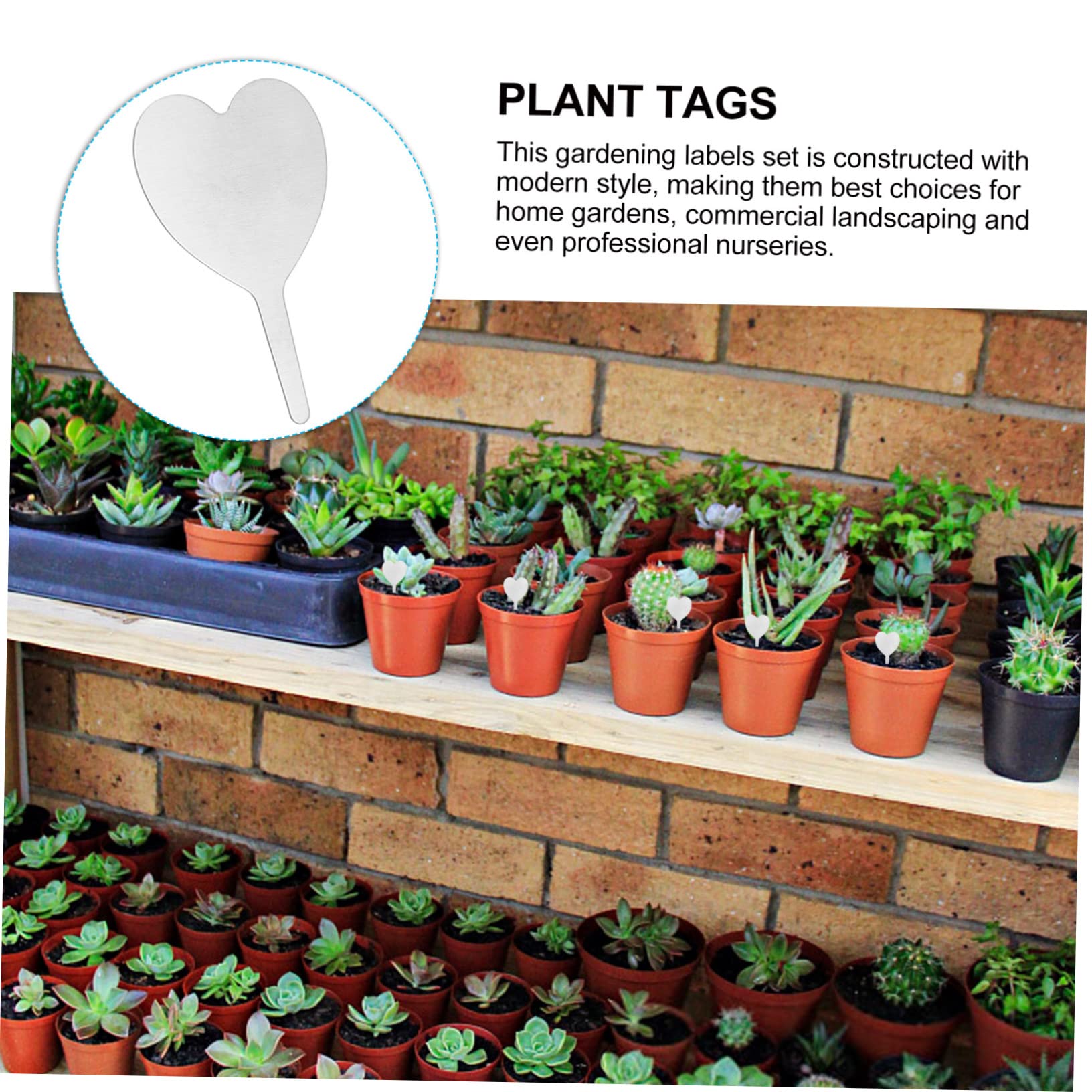 TOYANDONA 2 Ensembles Étiquettes Métalliques Pour Plantes Tableau Noir Identification Des Étiquettes De Plantes Marqueurs De Jardinage Réutilisables Étiquettes D'Arbres 50 pièces * 2