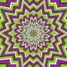 Motion Illusions