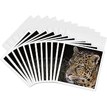3dRose USA, Indiana, Center Point 12 Greeting Cards with envelopes