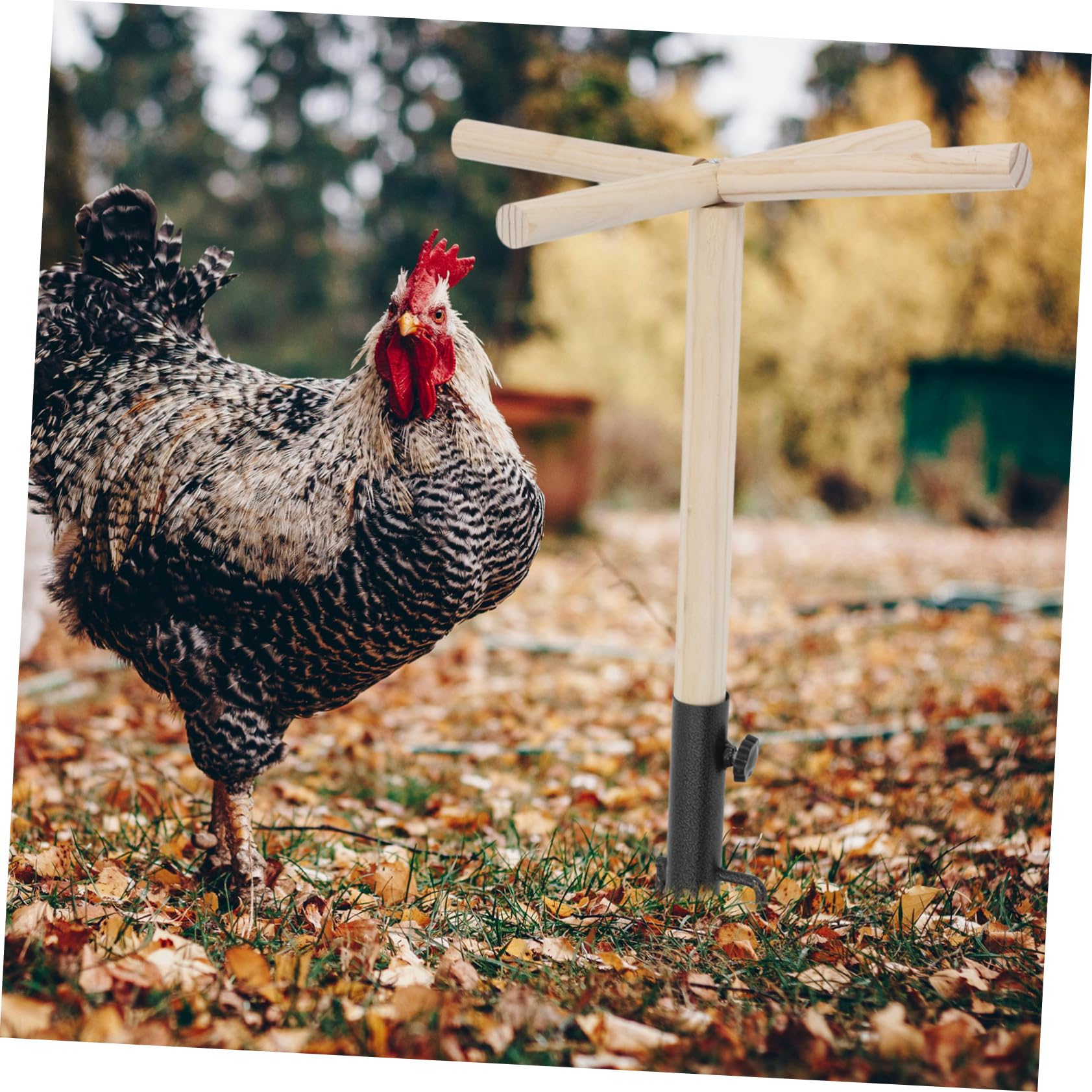 Kisangel Perch De Madera para Aves y Soporte para Entrenamiento De Pollo y Juguete para Mascotas Posadero Exterior para Periquitos y Aves De Mediano