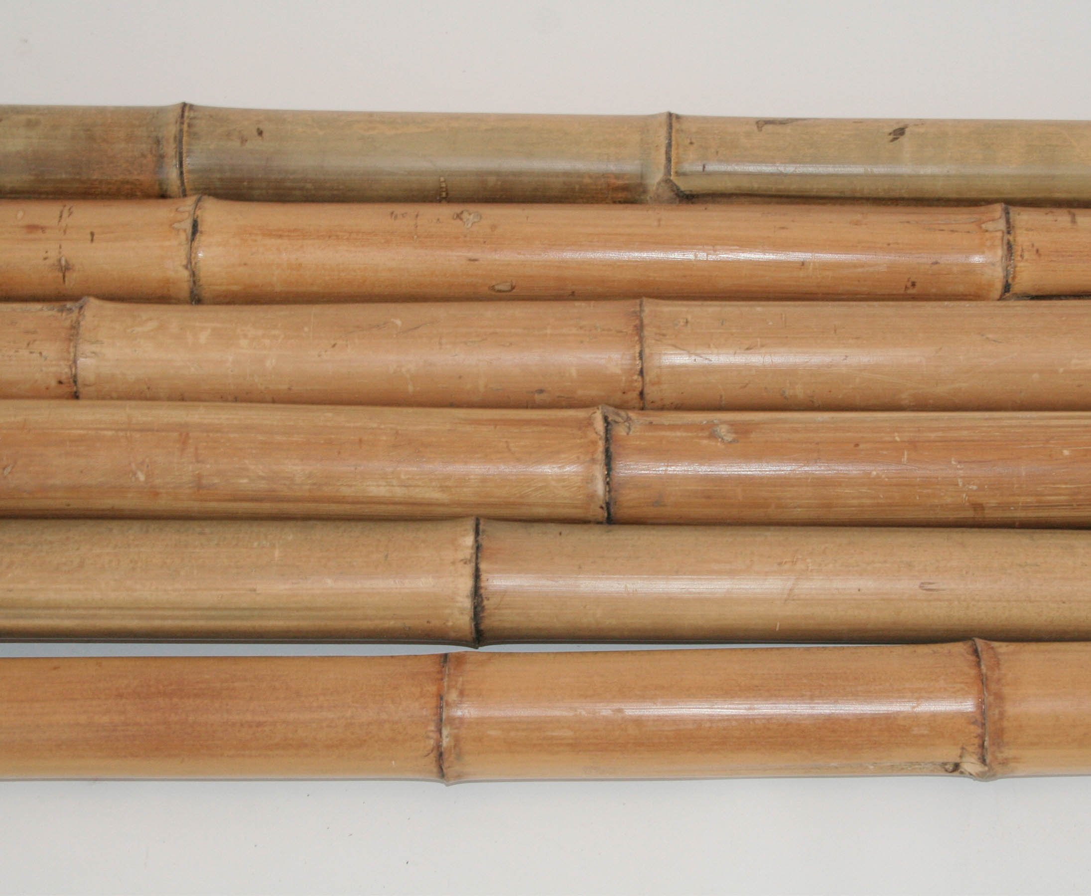 Madake Tige en bambou naturel - 180 cm de long - 8-10 cm de diamètre - Traité thermiquement - Conique - Pour projets de jardin et constructions