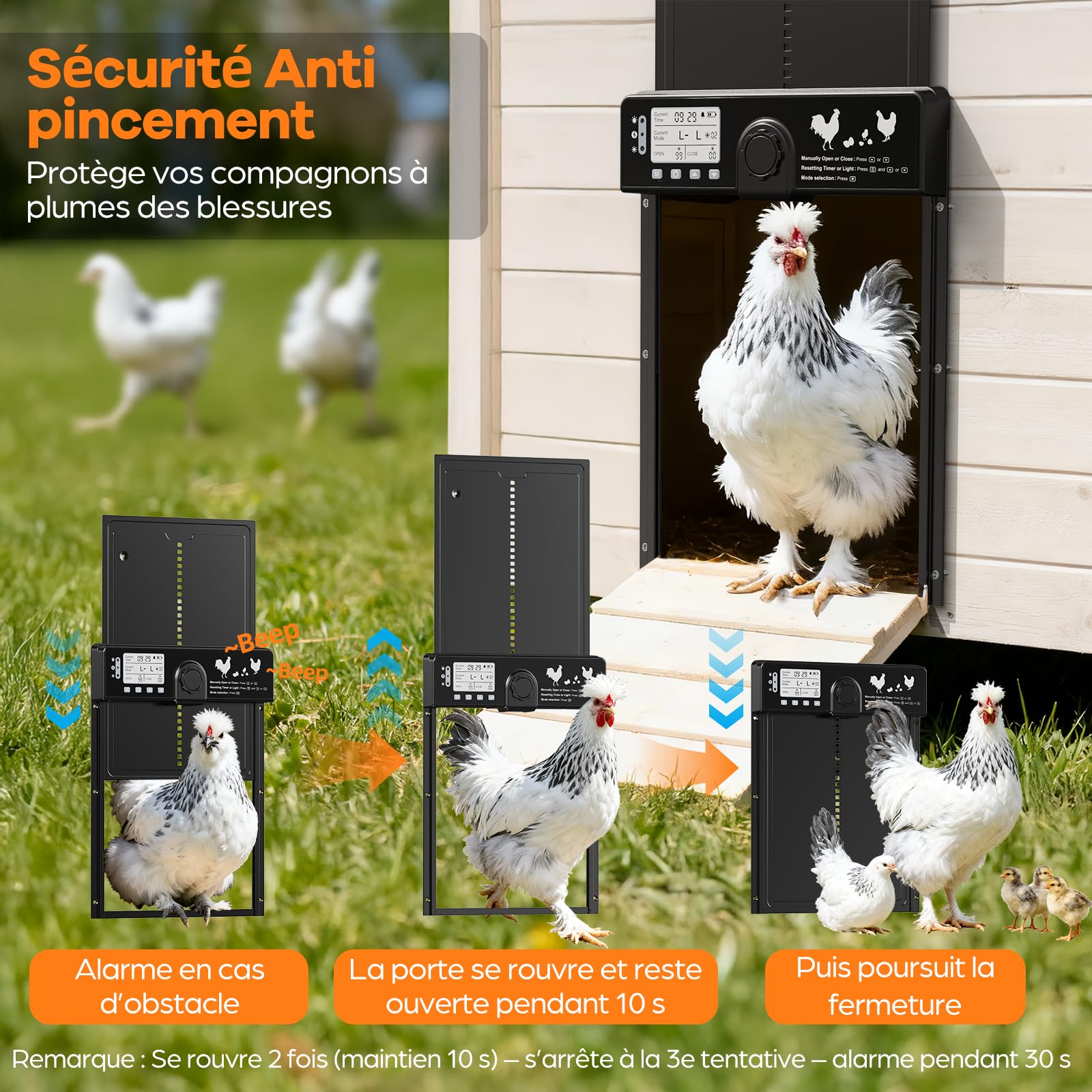 CHAMUTY Grande Porta Pollaio Automatico Solare con Sensore Luminosità, Alluminio Porta Automatica Pollaio Elettrico con Telecomando, Timer Funzione Anti-Pizzico