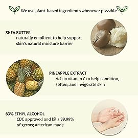 Sweet Pineapple & Honey Melon Moisturizing Herbal Hand Sanitizer