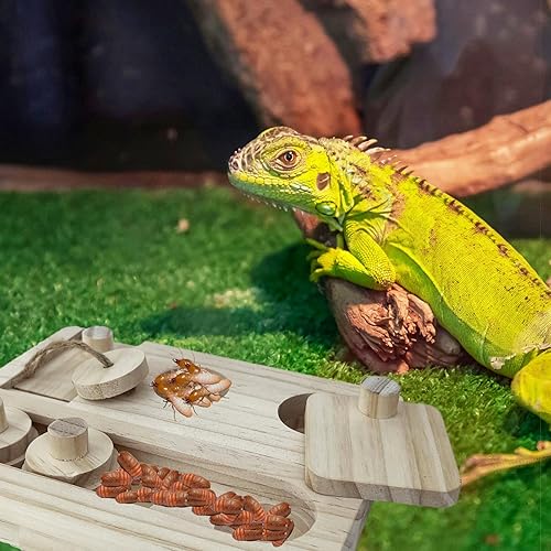 FlidRunest Bearded Dragon Feeder Puzzle, Wooden Lizard Feeding Box, Reptile Interactive Enrichment Food Feeder Training Treat Dispenser for Lizard Bearded Dragon Frog Hamster