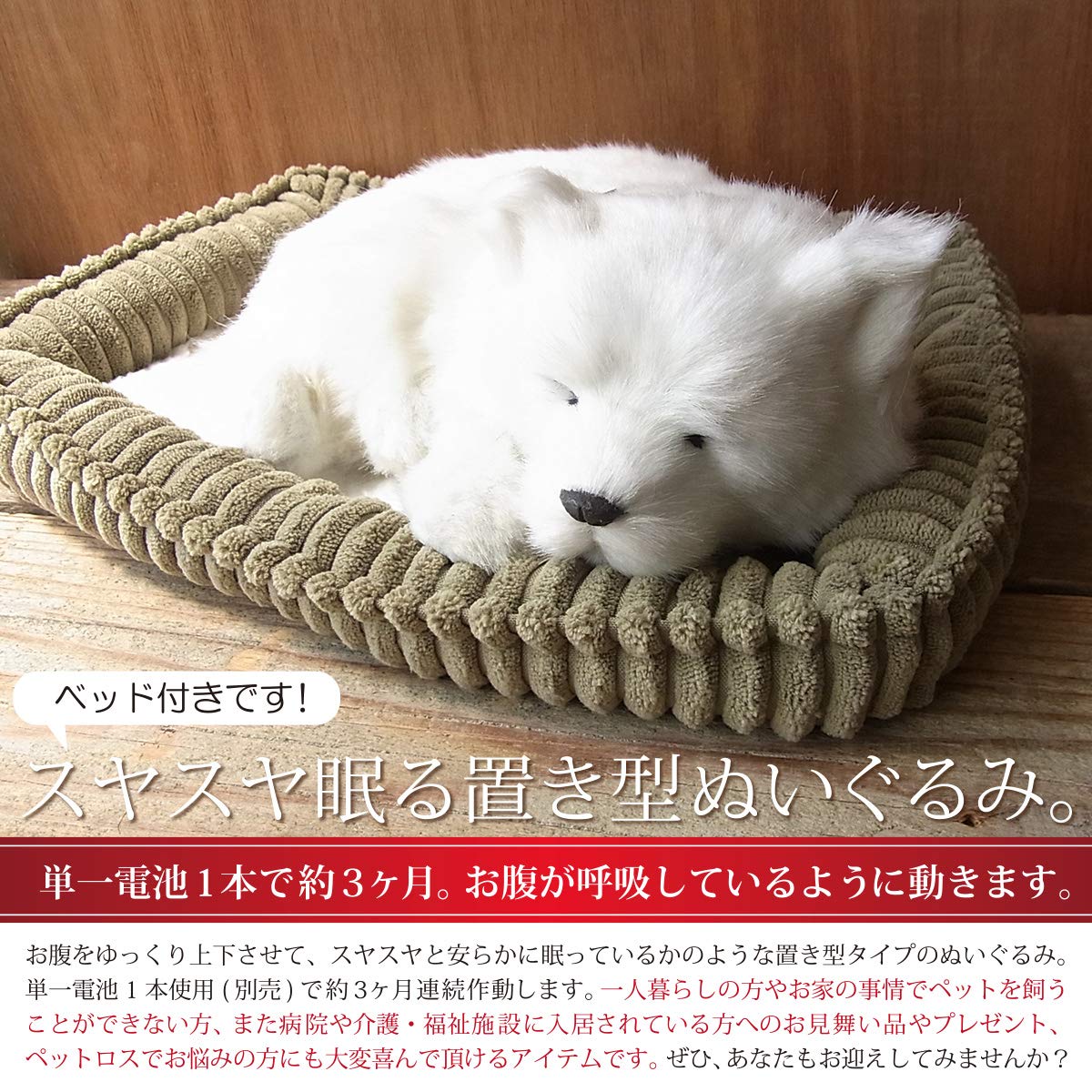 Amazon.co.jp: ニニアンドキノ パーフェクトペット (小サイズ) 北海道