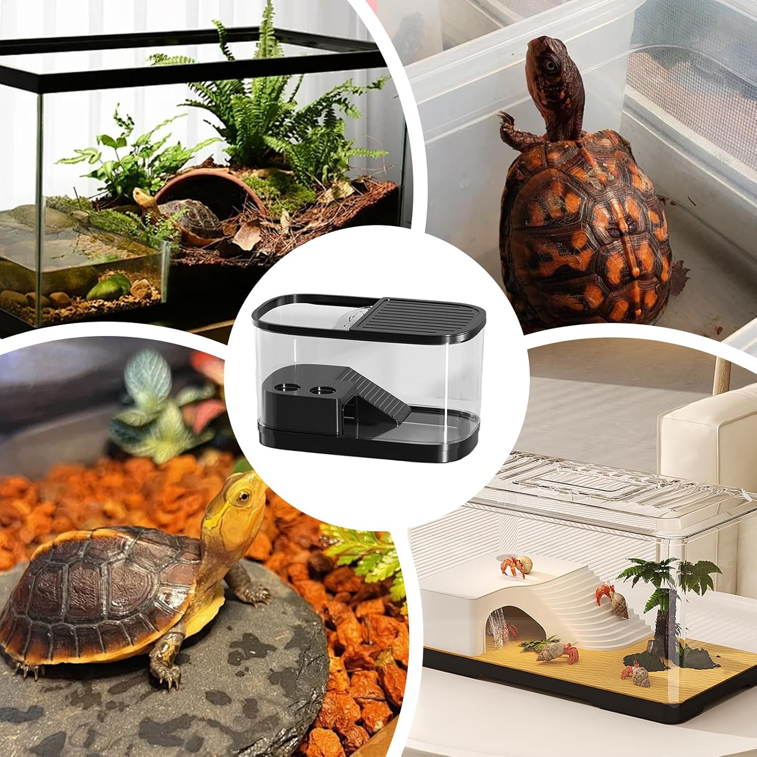 Reptile Enclosure - Habitat Tank Container for Bearded Dragons and Geckos | Transparent Ventilated Terrarium, Secure Lid, Easy Access Design & Stable Base for Tarantulas Tortoises Chameleons Frogs Sma