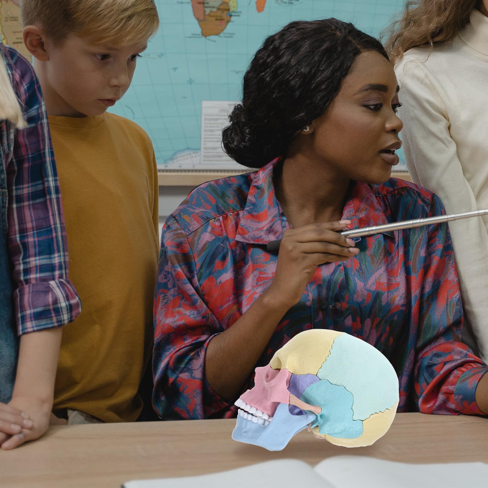 Modelo de Cráneo Pequeño 4d Desmontable para Stem Decoracion Colegio