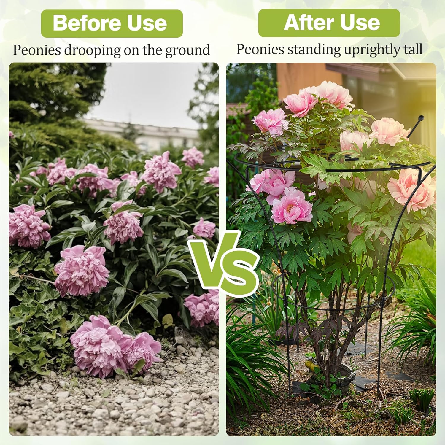 1 Pack Large Peony Cages and Supports, 38" H x 19" D Tall Heavy Duty 5mm Black Metal Garden Stakes for Outdoor & Indoor Plants, Sturdy Rust-Resistant Frame for Peonies Roses Flowers