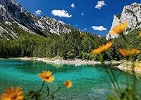 Vista 2 de Ravensburger Puzzle 16869 - Grüner See at Tragöß - 1000 Teile Puzzle für Erwachsene und Kinder a partir de 14 años