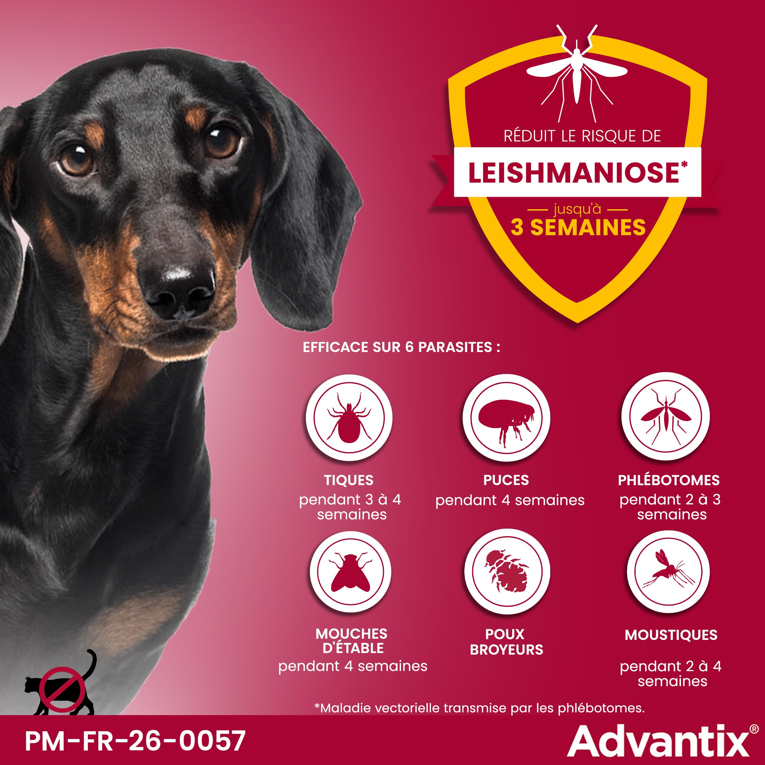 Advantix Petit Chien entre 4 et 10 kg – Pipettes pour chien contre 6 parasites – Traitement en pipette pour une protection en continu pendant 4 semaines – 4 x 1,0 ml