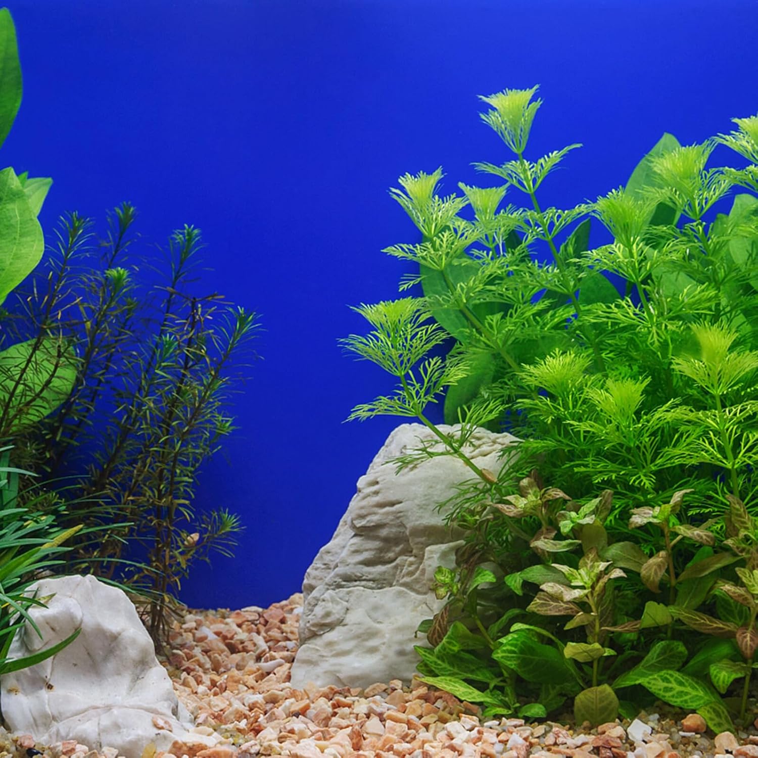 Fish Tank Background Self-Adhesive Aquarium Wallpaper PVC Blue 45cm High 10m Roll Underwater Decoration for Home Aquariums