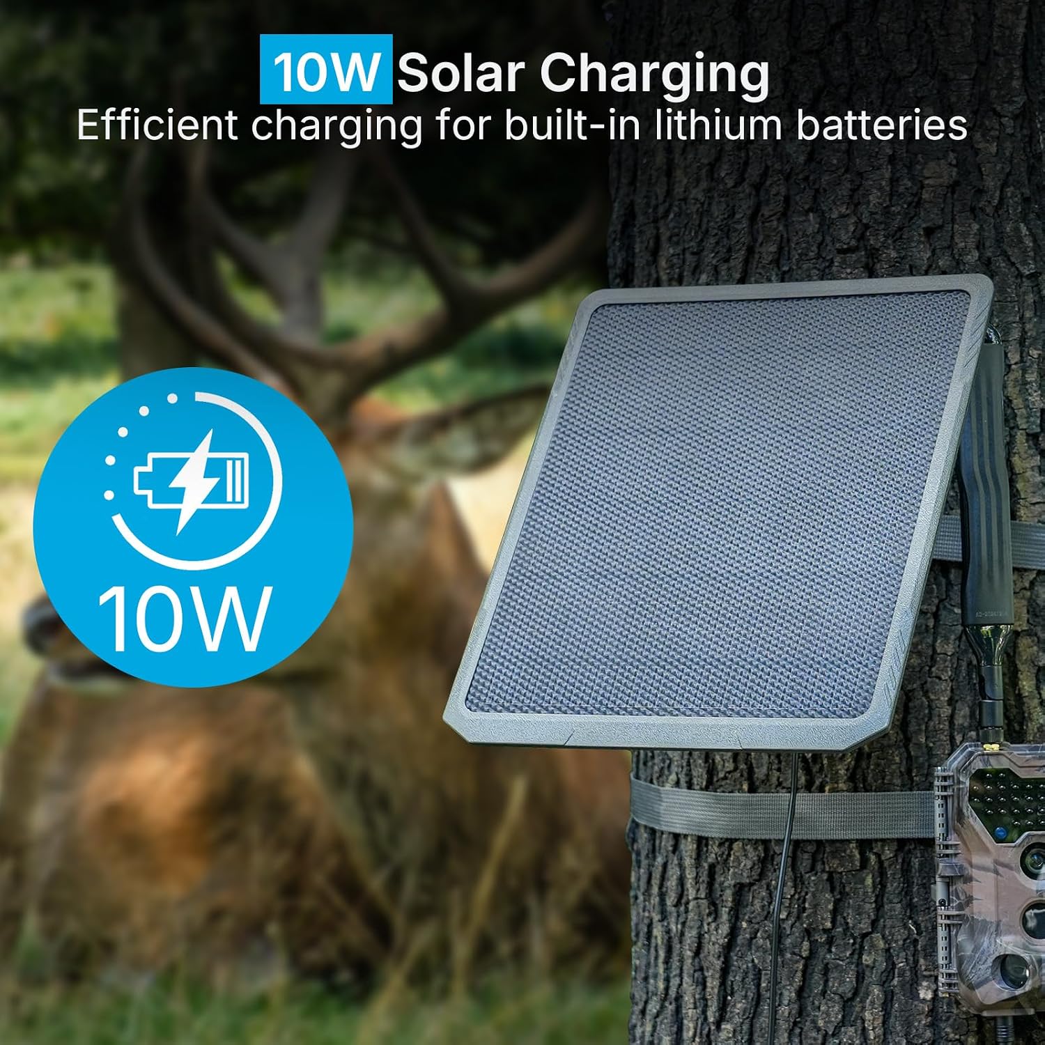 Meidase SP1000 Solar Panel for P300 Pro, S950P, S965 Pro Trail Camera, 10W High‑Efficiency Weatherproof Solar Charger, Reliable Continuous Power for Extended Field Deployment