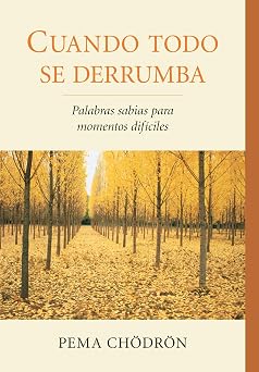 Cuando todo se derrumba When Things Fall Apart Palabras sabias para momentos dificiles La Colleccion De Pema Chodron Spanish Edition