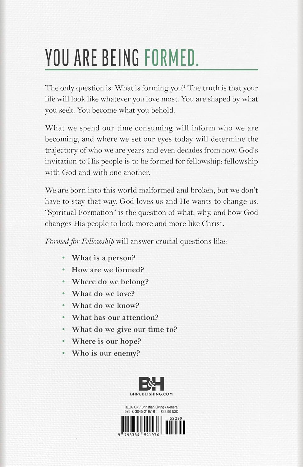 Formed for Fellowship: Becoming What You Behold - Image 2