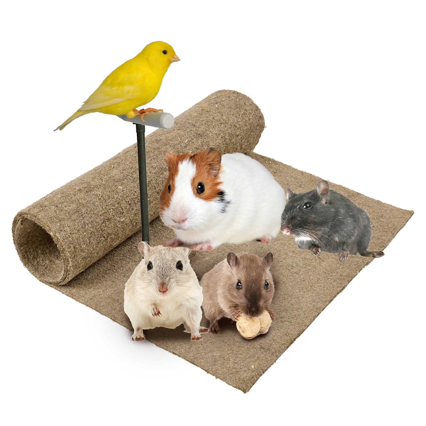 La Cordeline Tapis Litière Chanvre Naturel 40 x 100 cm Fond de Cage pour Rongeurs