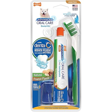 nylabone tartar control toothpaste