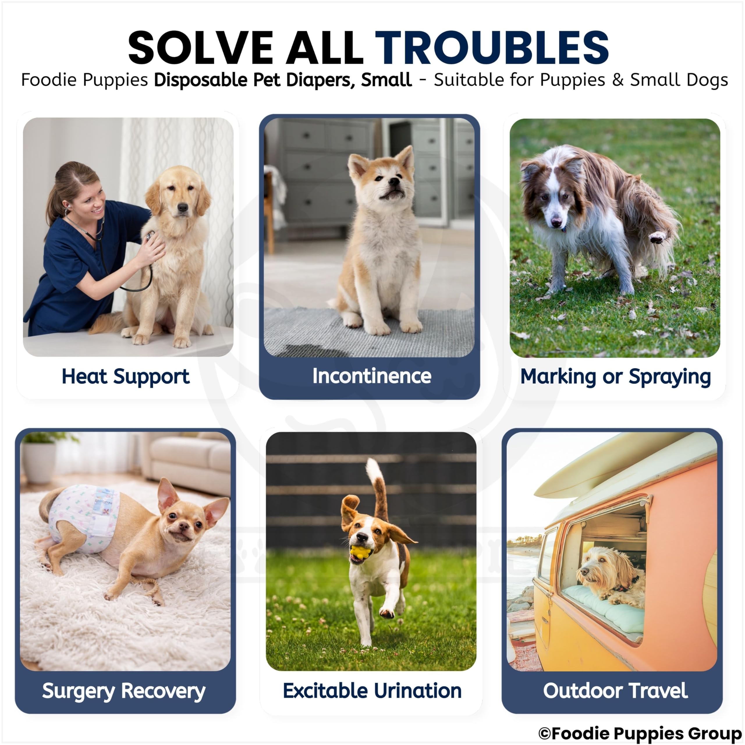Foodie Puppies Disposable Pet Diapers for Dogs - (12Pcs, Small) | Comfortable Diaper Pants/Sanitary Cotton Underwear Nappy | Leak-Proof, Ultra-Absorbant, & Flexible | Daily Uses and Travelling Purpose 4