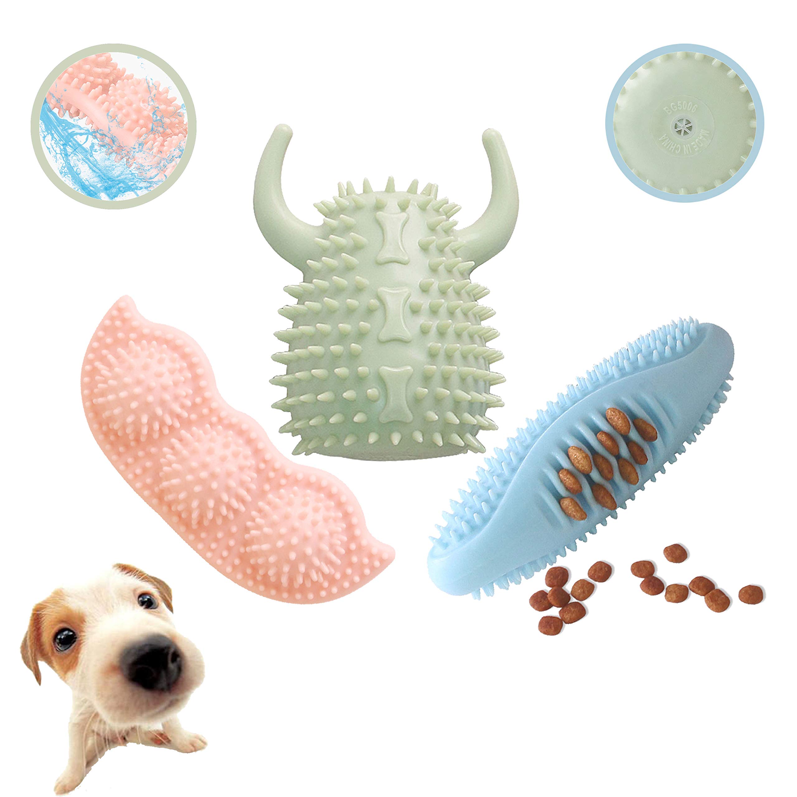 Why Does My Puppy Grinds His Teeth