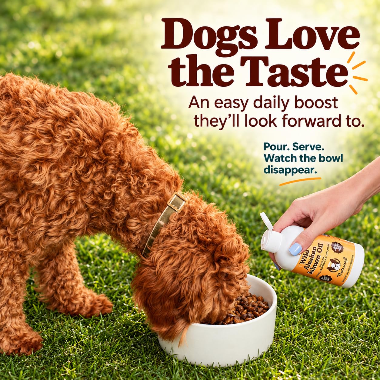 Natural Dog Company Wild Alaskan Salmon Oil for Dogs - 16 oz — Amazon image 10