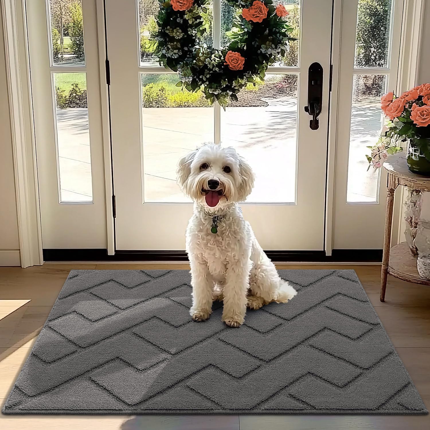Biscpro Door Mat 80x120 cm, Indoor DoorMat Washable, Doormat Indoor Dirt Trapper Non-slip, Absorbent Inside Entrance Rug Floor Mat for Entryway, Patio, Garden, laundry Room,Pets - Grey