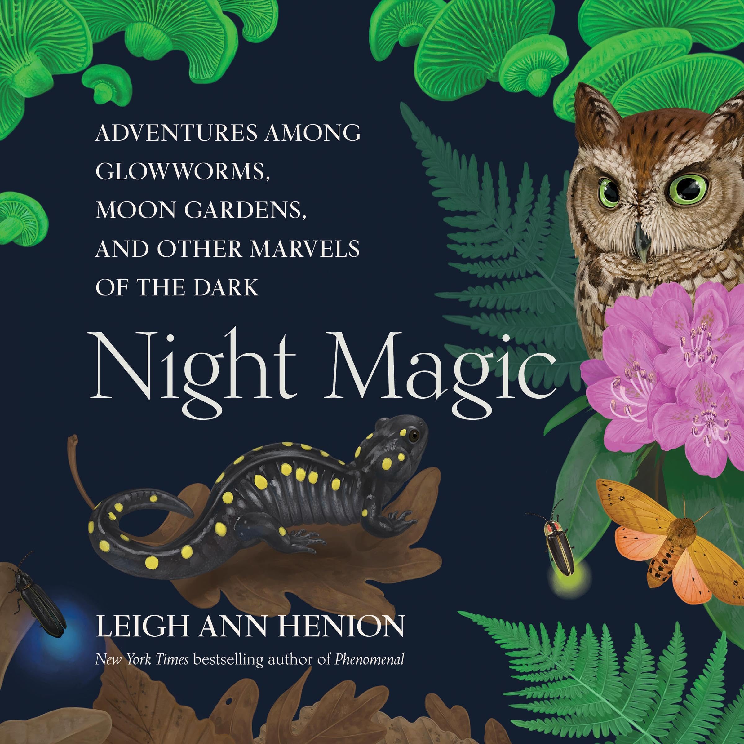 Cover art for Night Magic