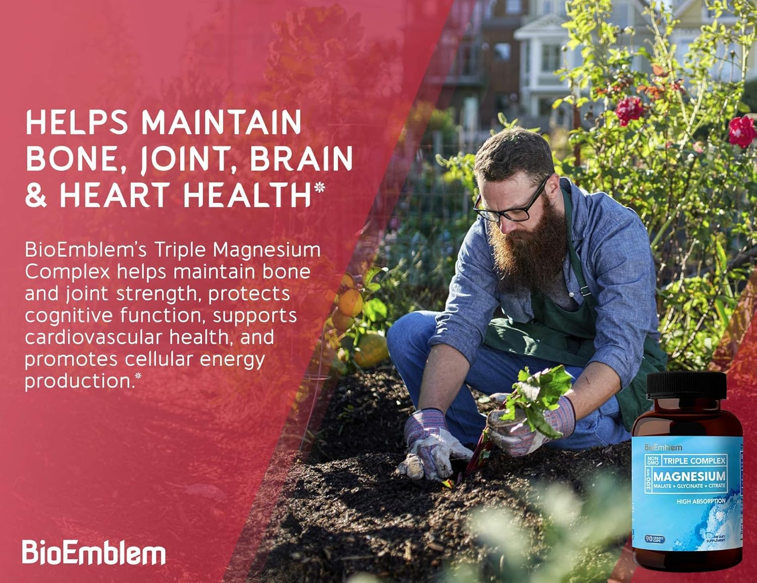 BioEmblem Triple Magnesium Complex and BioEmblem Turmeric Curcumin with Clinically Studied TurmiPure