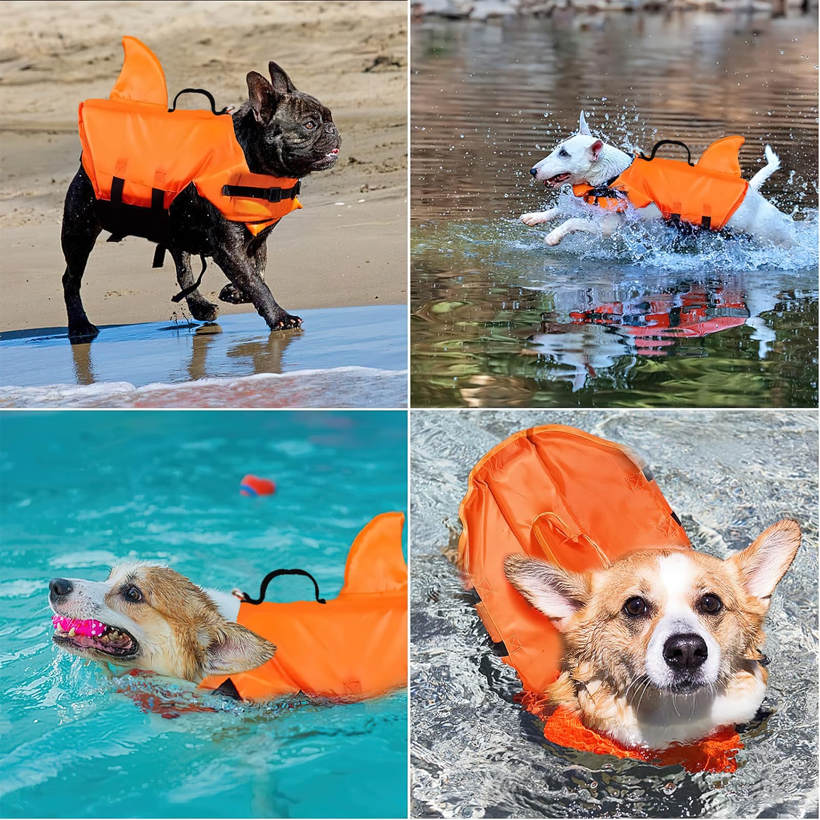 dellyy Giubbotto Salvagente Cane Taglia Media Life Vest per Surf Nuoto Passeggiate Campeggio (Arancione, L)