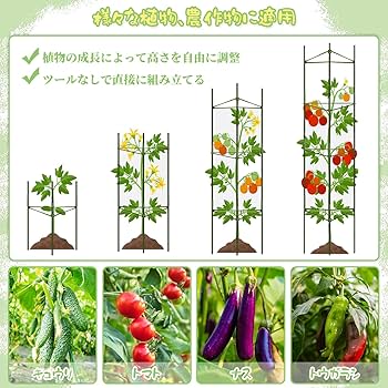 Amazon | STATIN4 トマト支柱 園芸支柱 植物支柱 花支え つる性