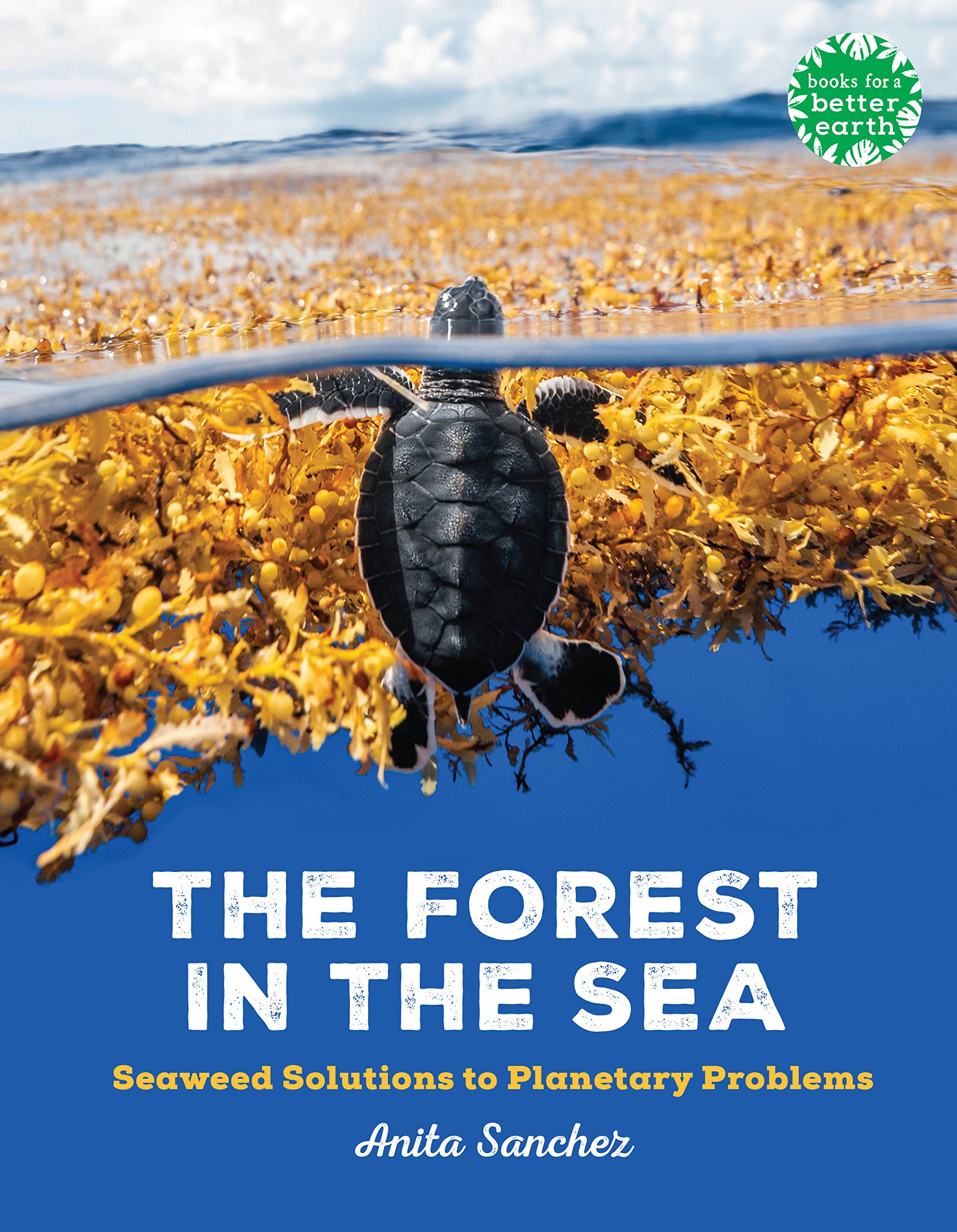 The Forest in the Sea: Seaweed Solutions to Planetary Problems