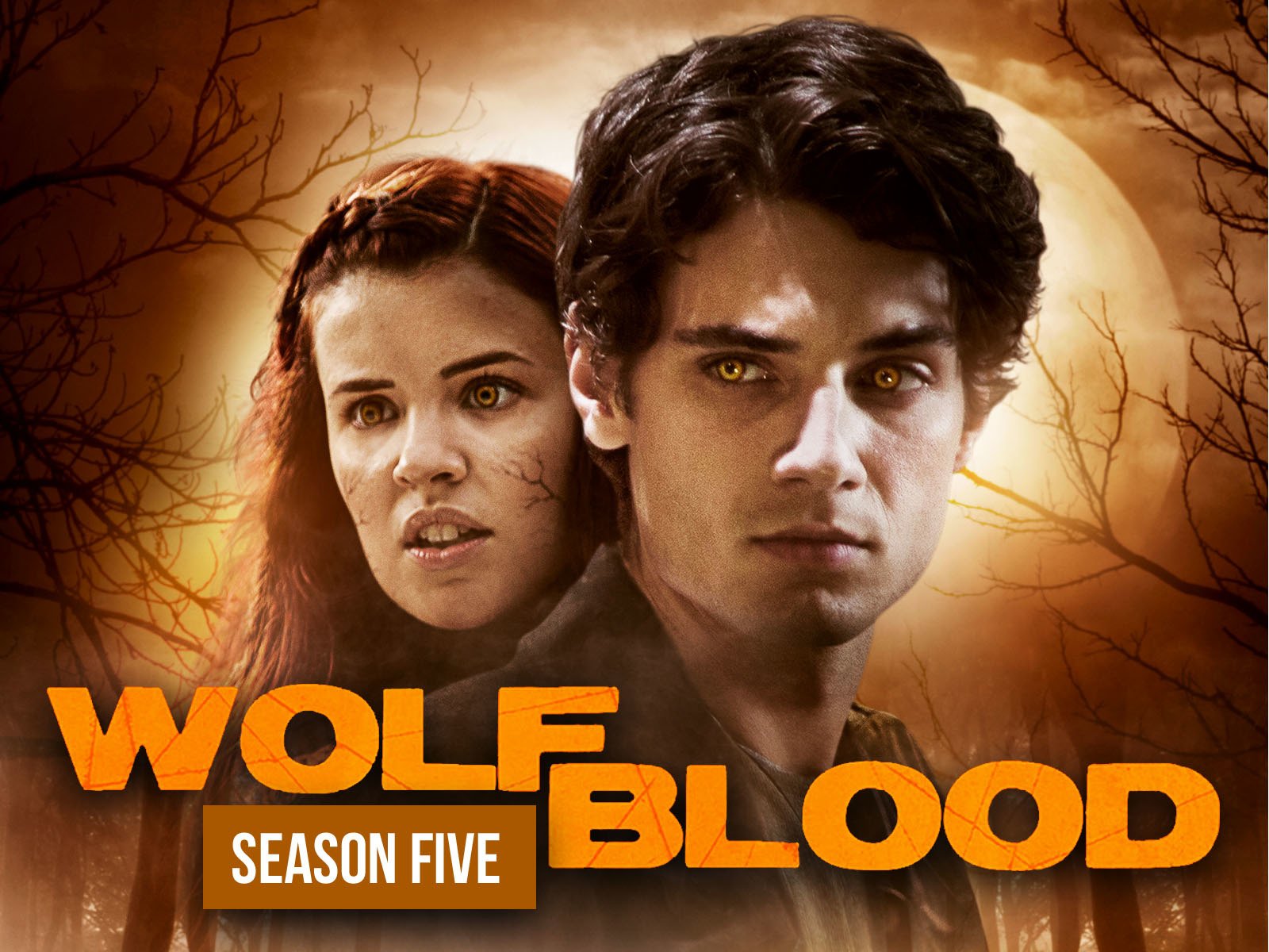 Wolfblood: Season 5