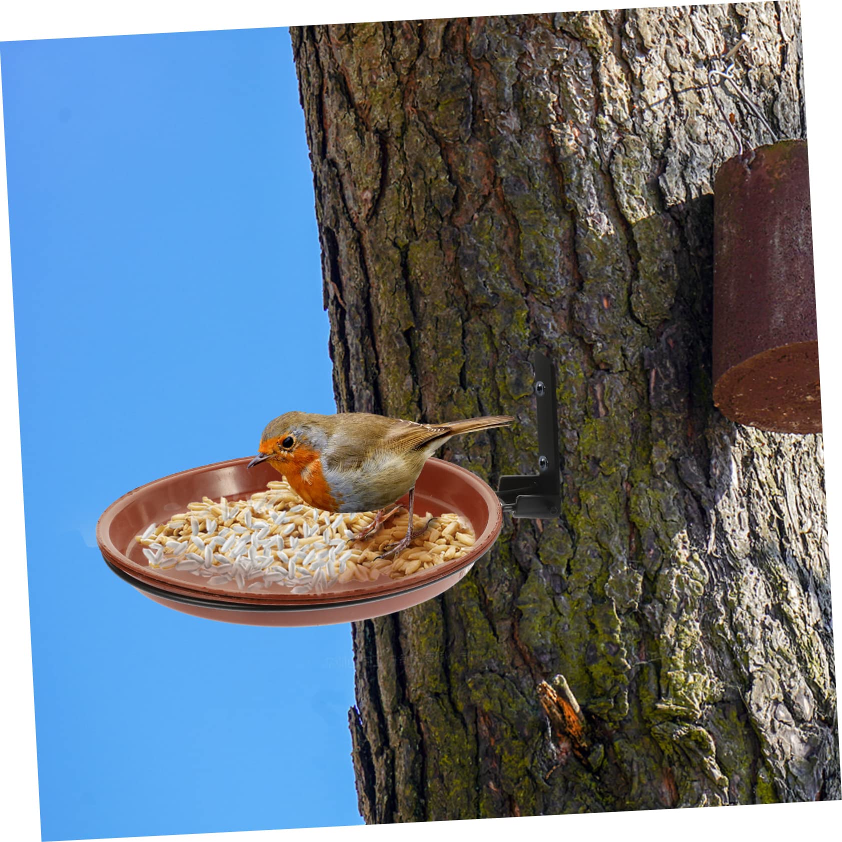 Kisangel 2 Juegos De Comedero para Pájaros Montado En La Pared Alimentador De Agua para Pájaros Tapa De Botella Regadera Comedero para Pájaros Montado En Árbol Comedero para Pájaros