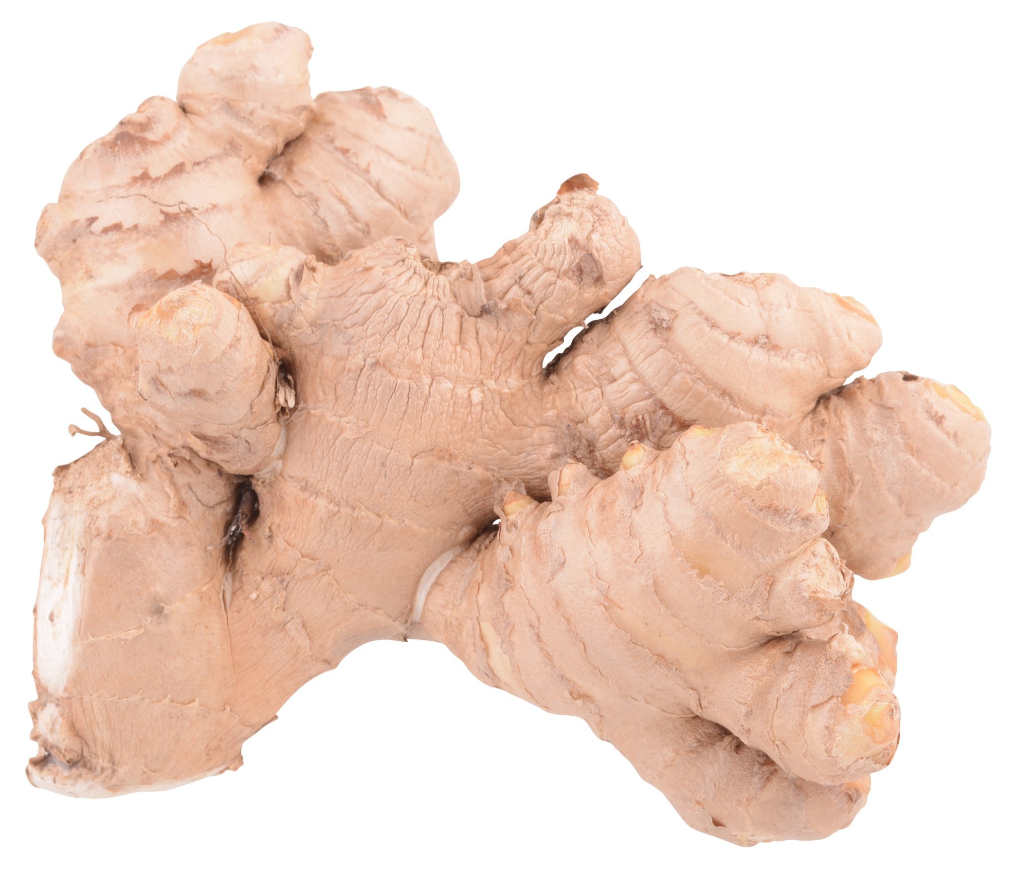 Organic Root Ginger