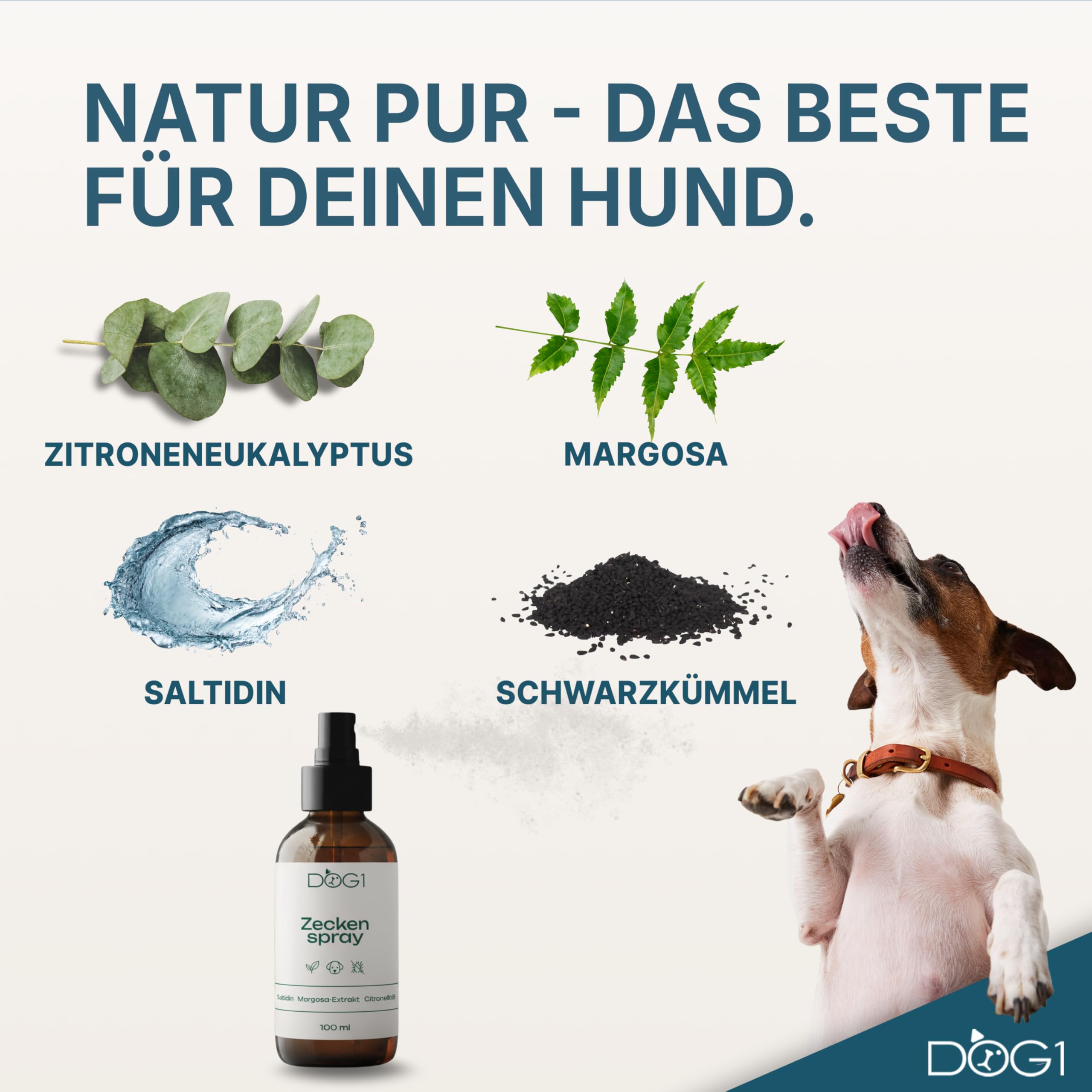 DOG1 Zeckenspray für Hunde – Langzeit-Zeckenschutz mit Margosa & Saltidin – Hautverträglich mit Zitrusduft – Alternative zu Spot-on, Zeckenhalsband & Kokosöl – Made in Germany – 100 ml